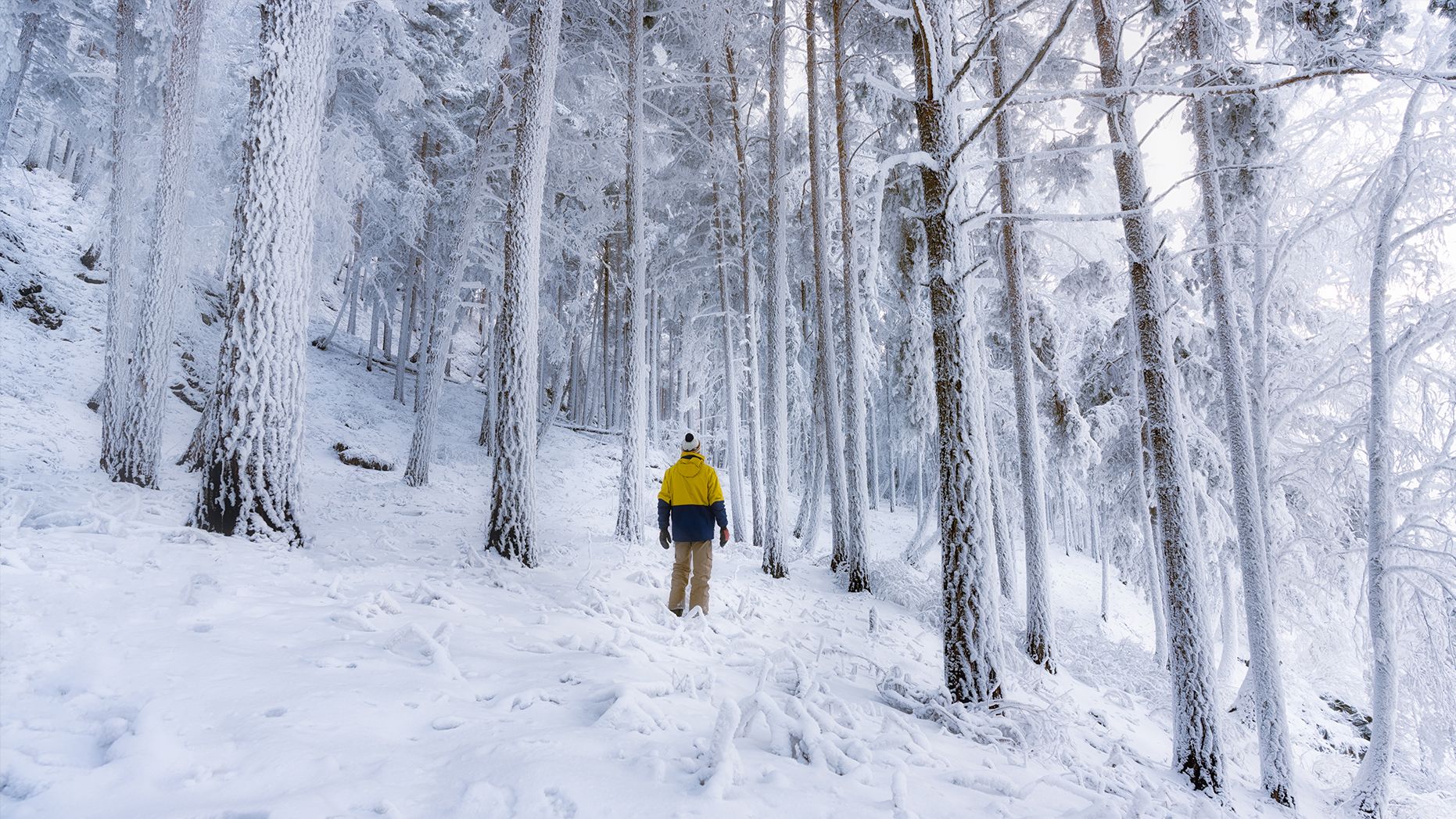 сибирь, хакасия, зима, лес, нарния, siberia, khakassia, winter, forest, narnia, Василеня Роман