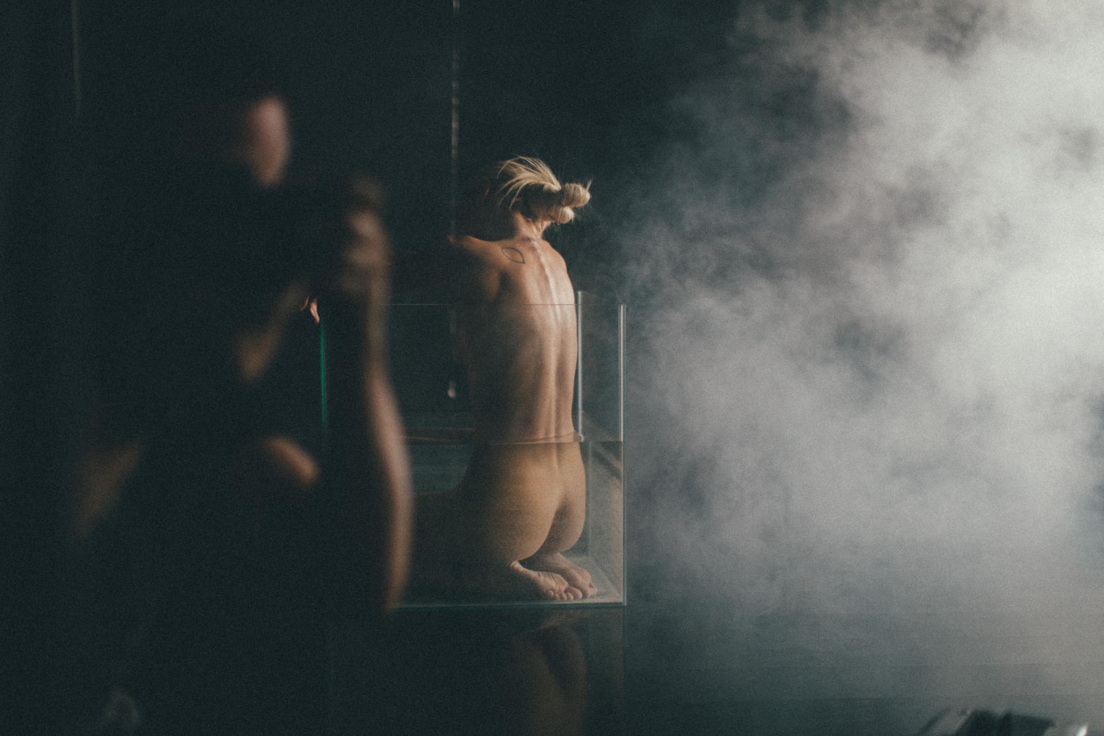 art, nude, naked, woman, body, female, classy, beautiful, sensual, sensuality, back, sexy, model, studio, smoke,, Дмитрий Щекочихин