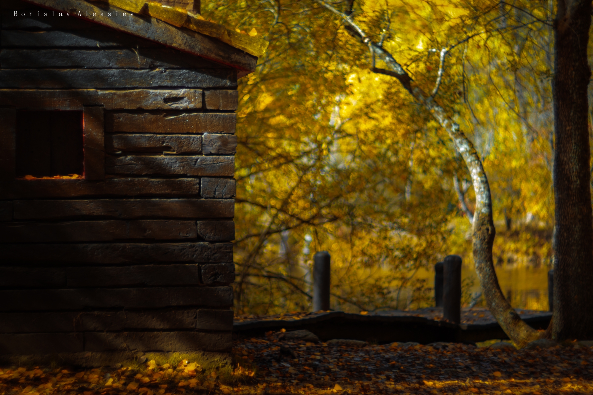 autumn,forest,travel,tree,orange,yellow,light,dark,water,plant,lake,house, Алексиев Борислав