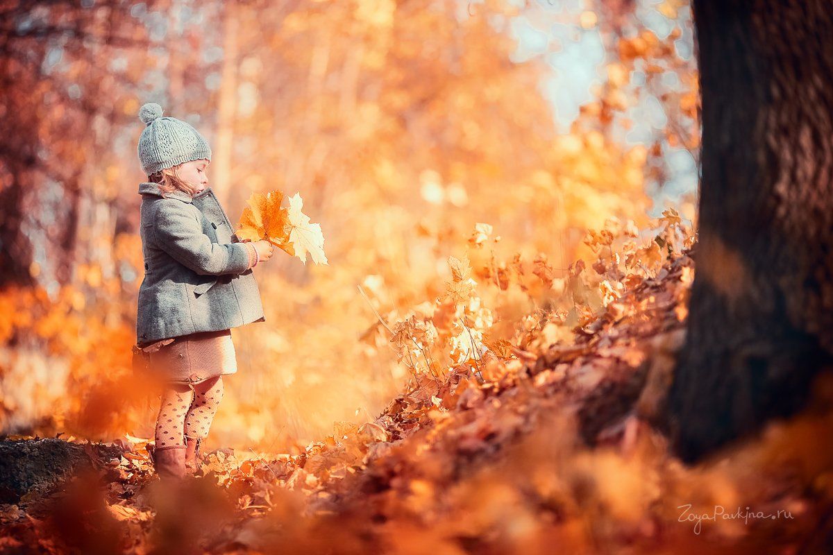 листья, осень, девочка, Зоя Павкина