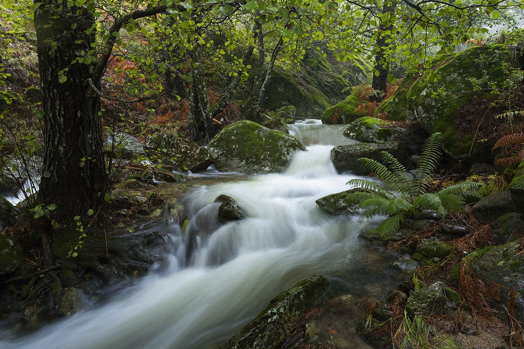 photography, mountain, spring, autumn, landscape, photo, awakening, flowers, land, landmark, lands, soft ligth, ligth, mountains, photo, river, jimenez millan samuel