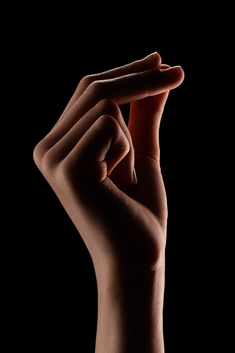 The HAND? Рука, Тигран Ванециан