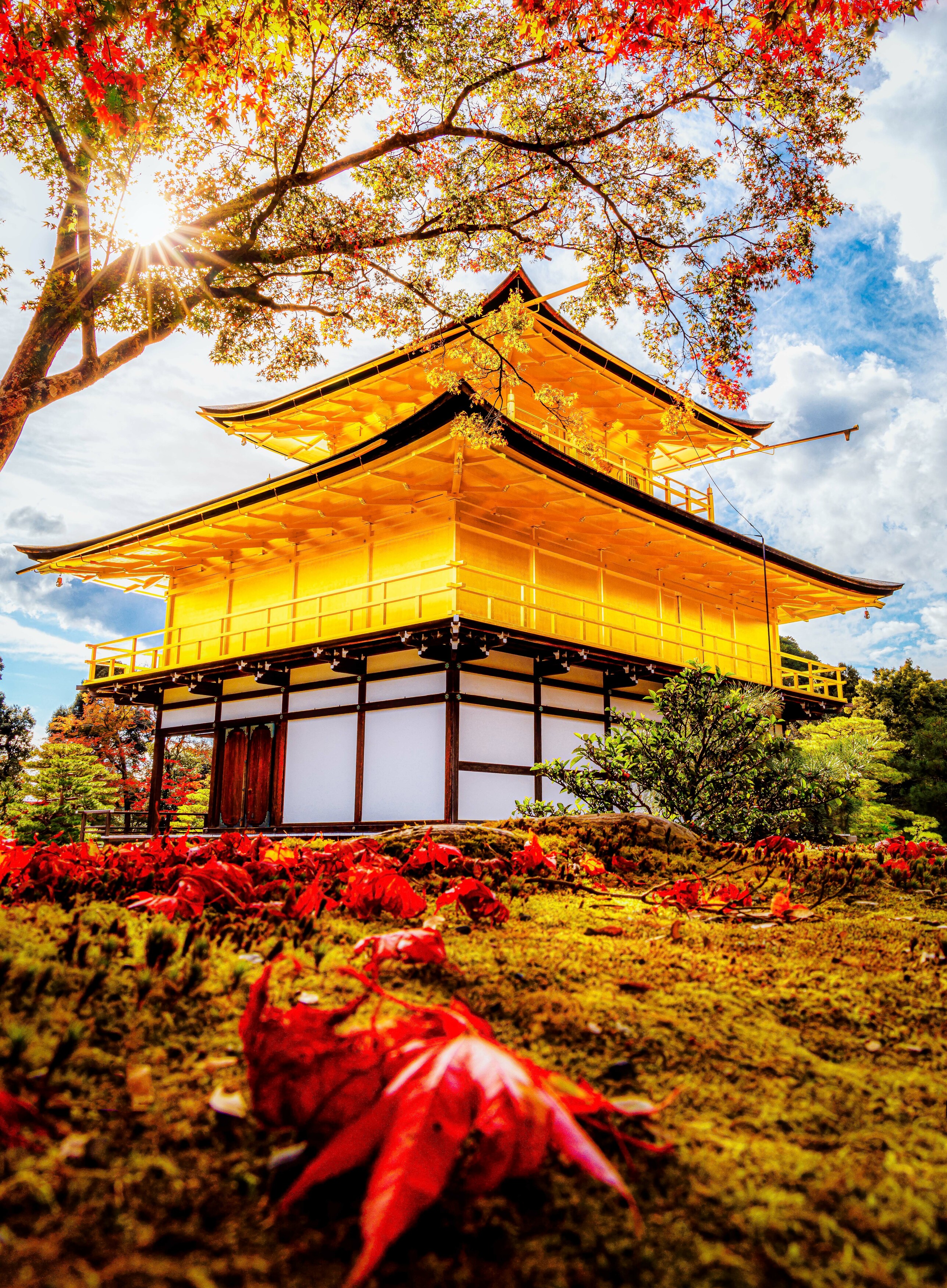 #kyoto, #japan, #autumn, #temple, Hasan Jakaria