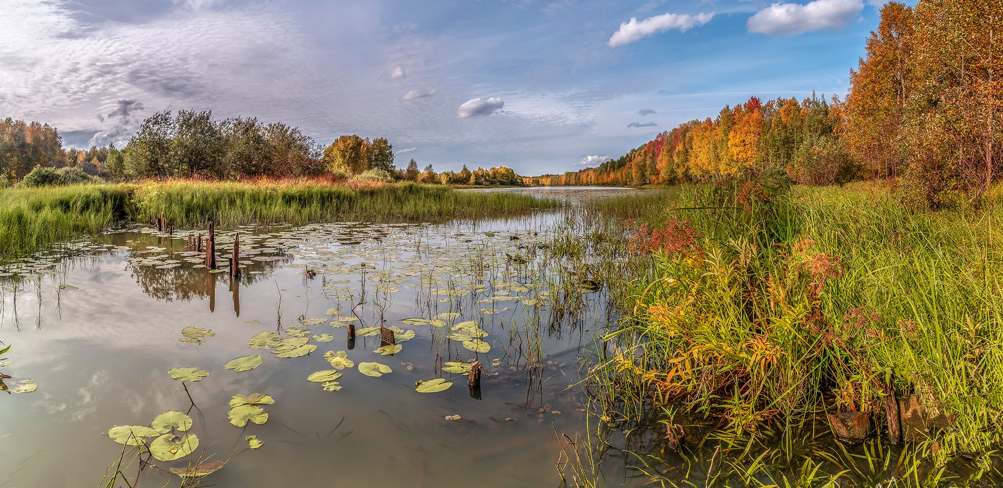 осень, озеро, протока, лес, трава,, Анкудинов Леонид