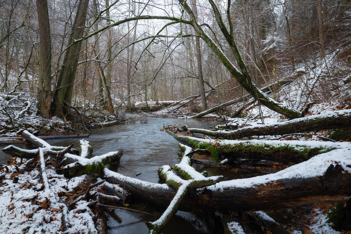 snow,snowy,winter,river,trees,forest,woodland,woods,first snow,landscape,nature,water,, Photo Visions