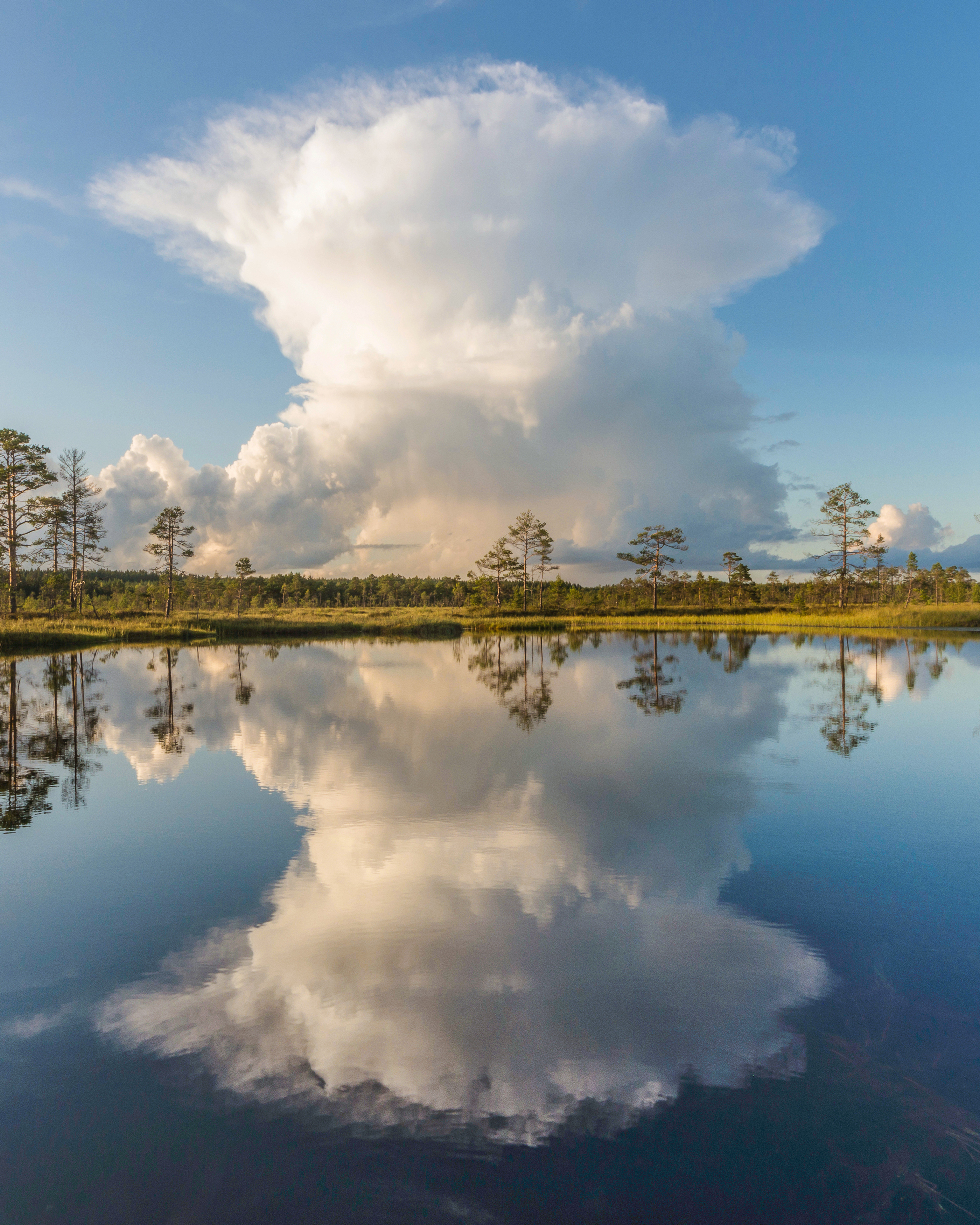 #visitestonia, #visitestland, #ilusadeestipaigad, #nature_of_estonia, #clouds, #cloudscapes, #cloudstagram, #cloudsphotography, #clouds_of_our_world, #reflections, #reflectiongram, #reflecting_perfection, #reflection_focus_on, #visitharju, #pentax, #penta, Nikolai Mordan