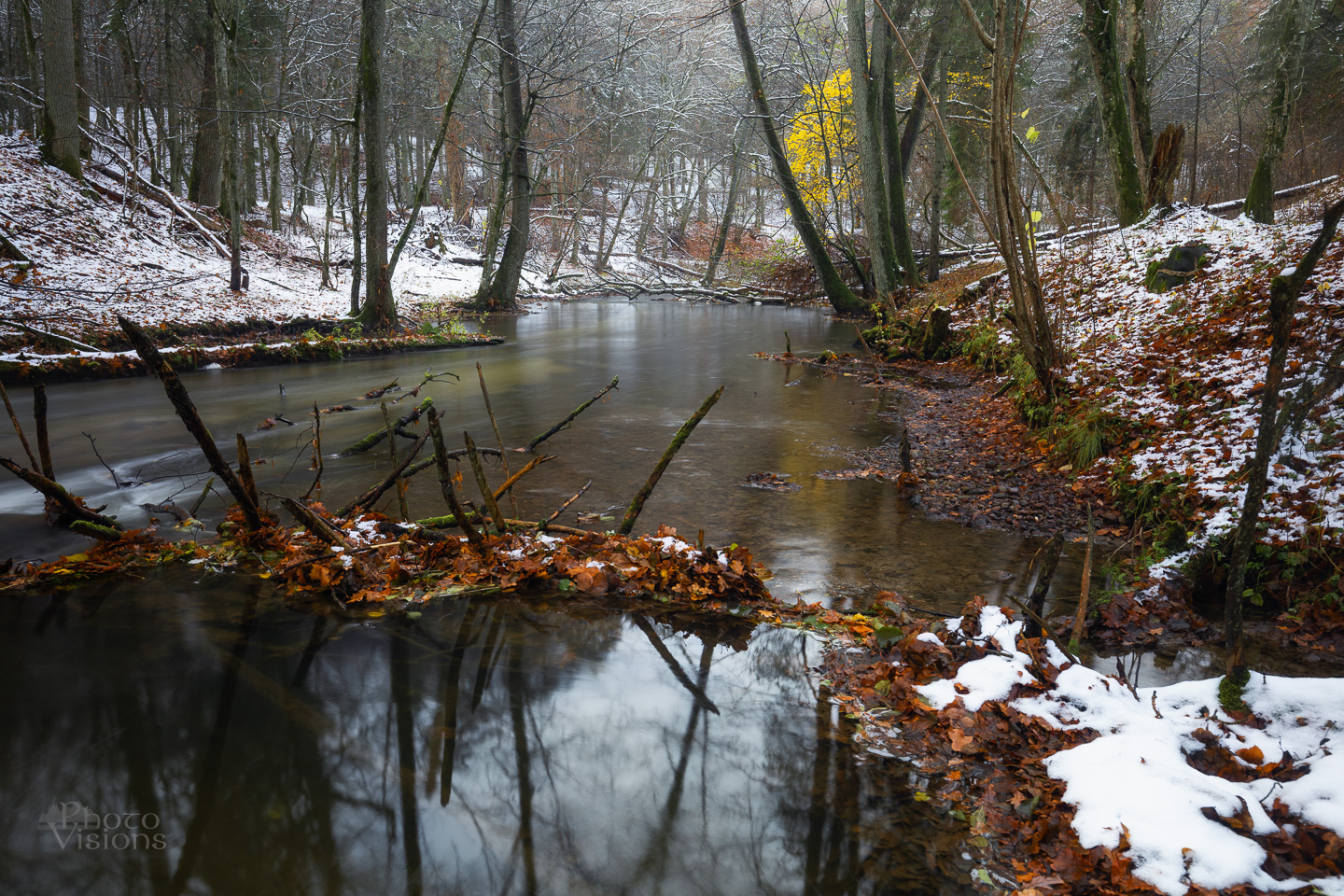river,forest,woods,woodland,lyna,poland,snowy,, Photo Visions