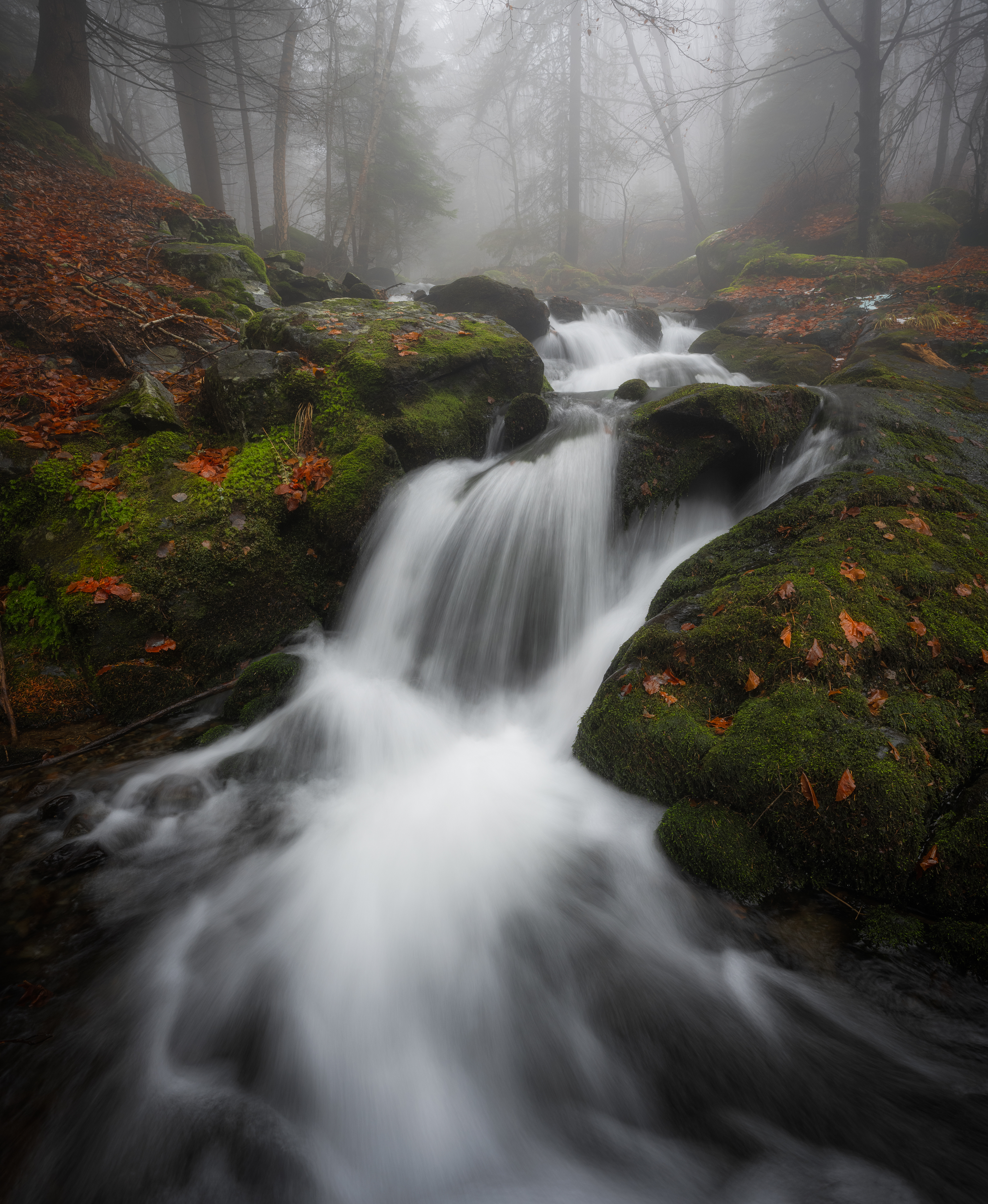 waterfall autumn fog , Boyko Valchev