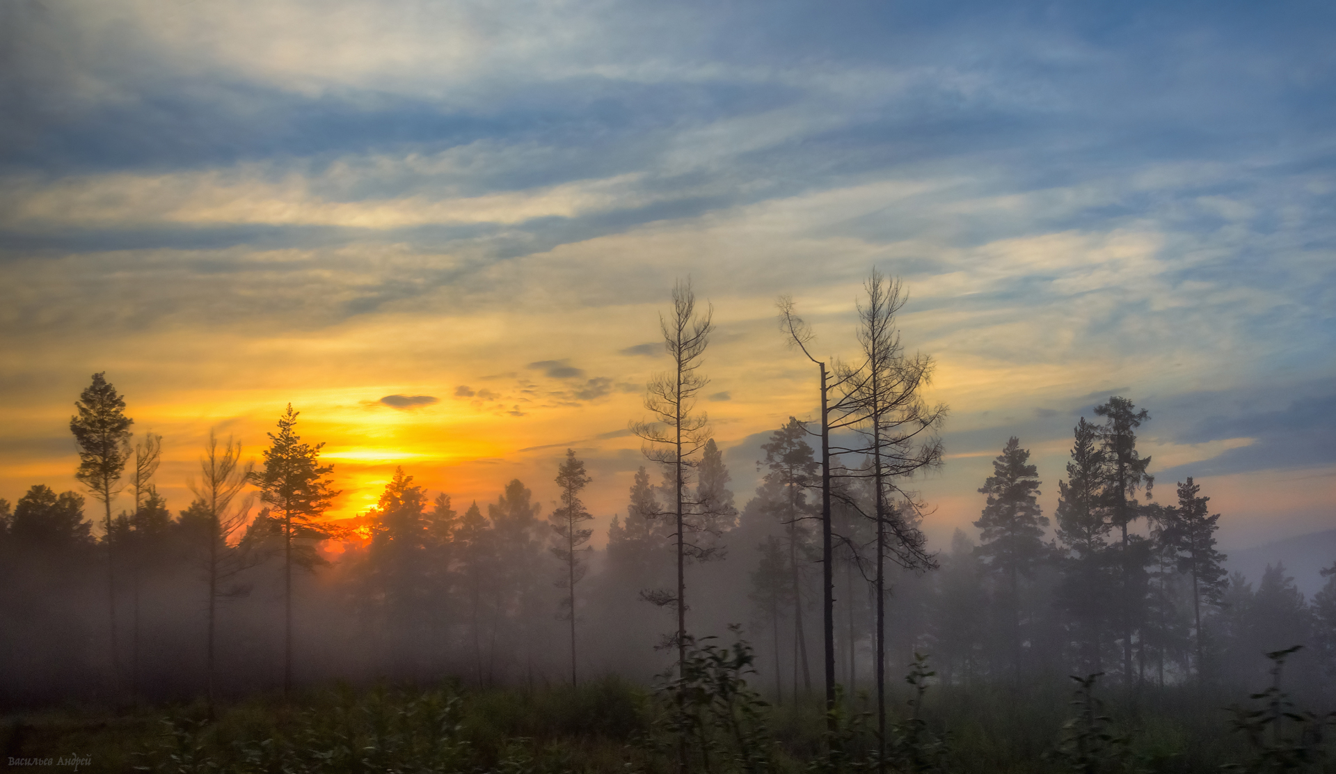 лес, закат, вечер, тайга, туман, Vasilyev Andrey