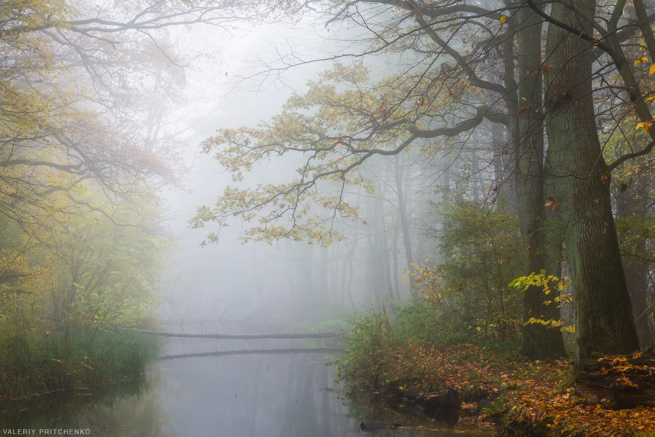 осень, природа, пейзаж, туман, утро, mist, autumn, nature, landscape, morning, Валерий Притченко