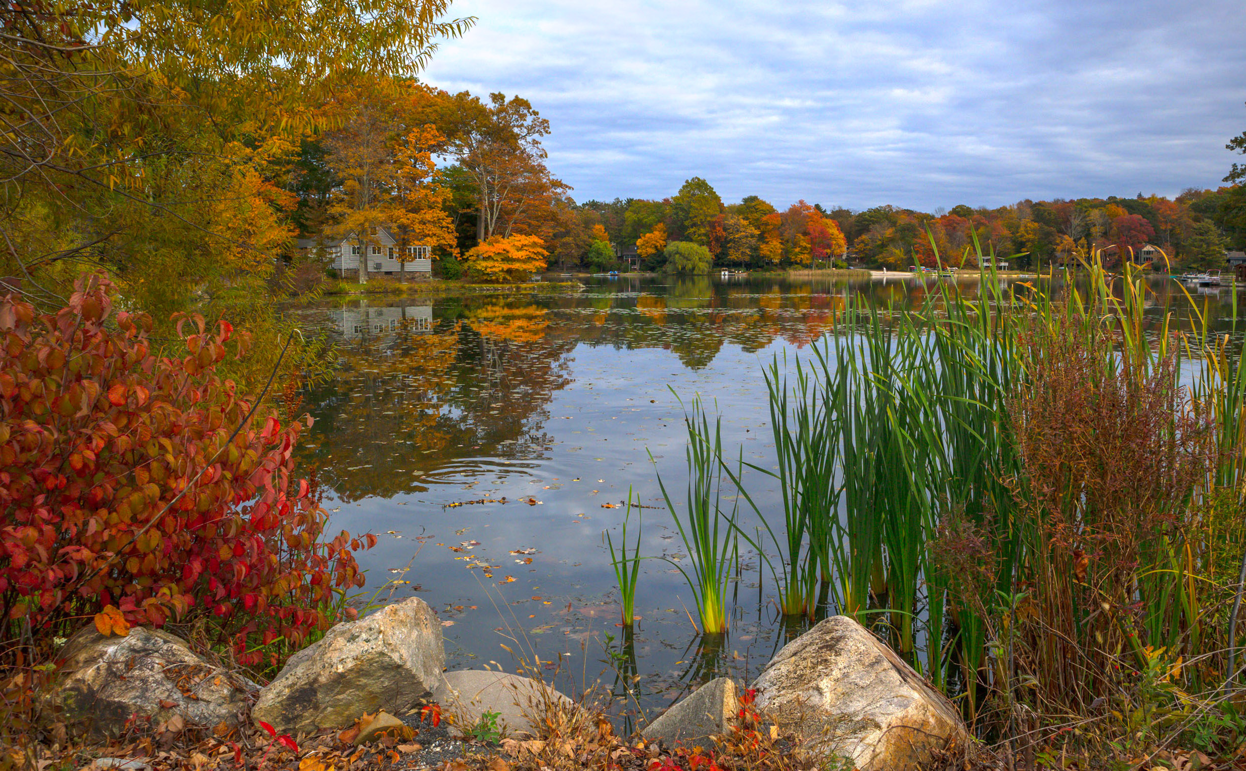 природа,осень,пейзаж,деревья,листья, озеро, отражения,, Антонина Яновска