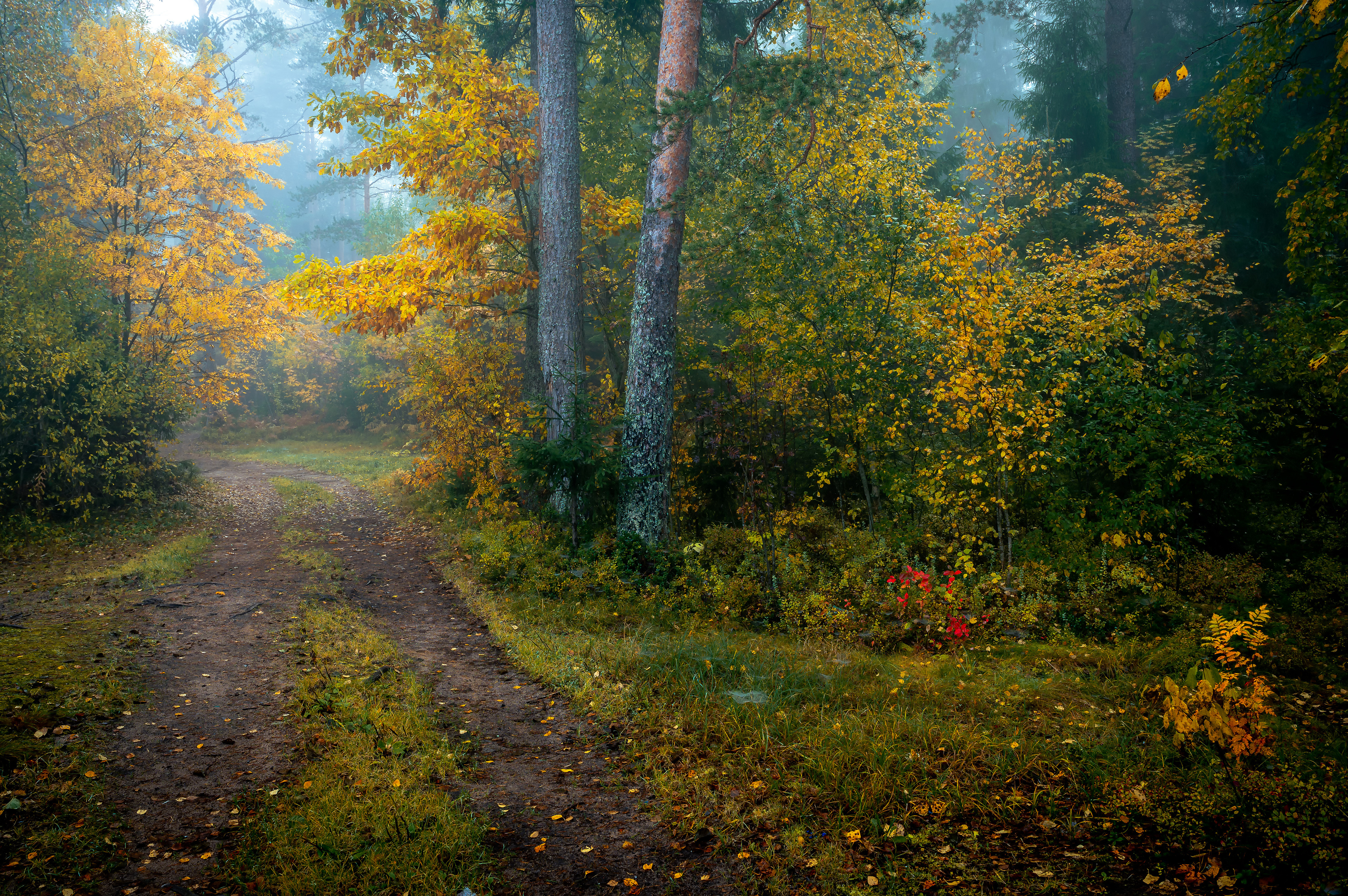 пейзаж, природа, осень, Васильев Андрей