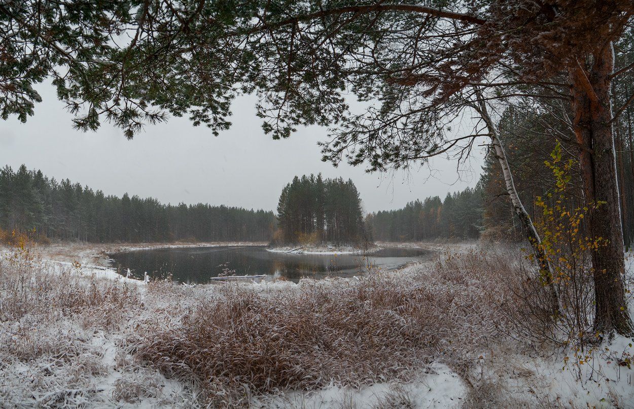 пейзаж,россия,осень,зима,снег,озеро,отражение,дерево,лес,вода, Виталий Истомин