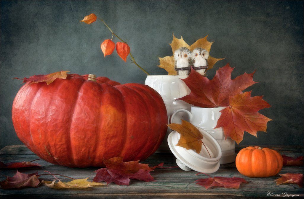 белое, кленовые листья, натюрморт, оранжевое, осень, тыква, Eleonora Grigorjeva