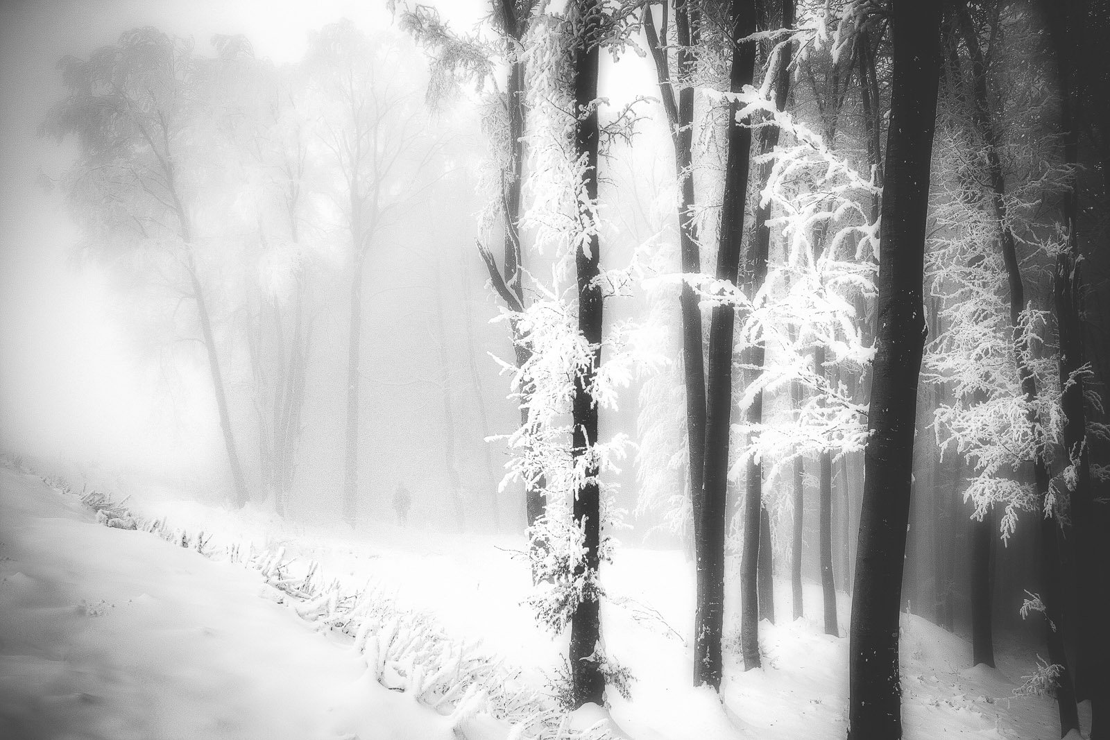 Black and white, Mist, Mood, Silhouette, Winter, Serban Bogdan