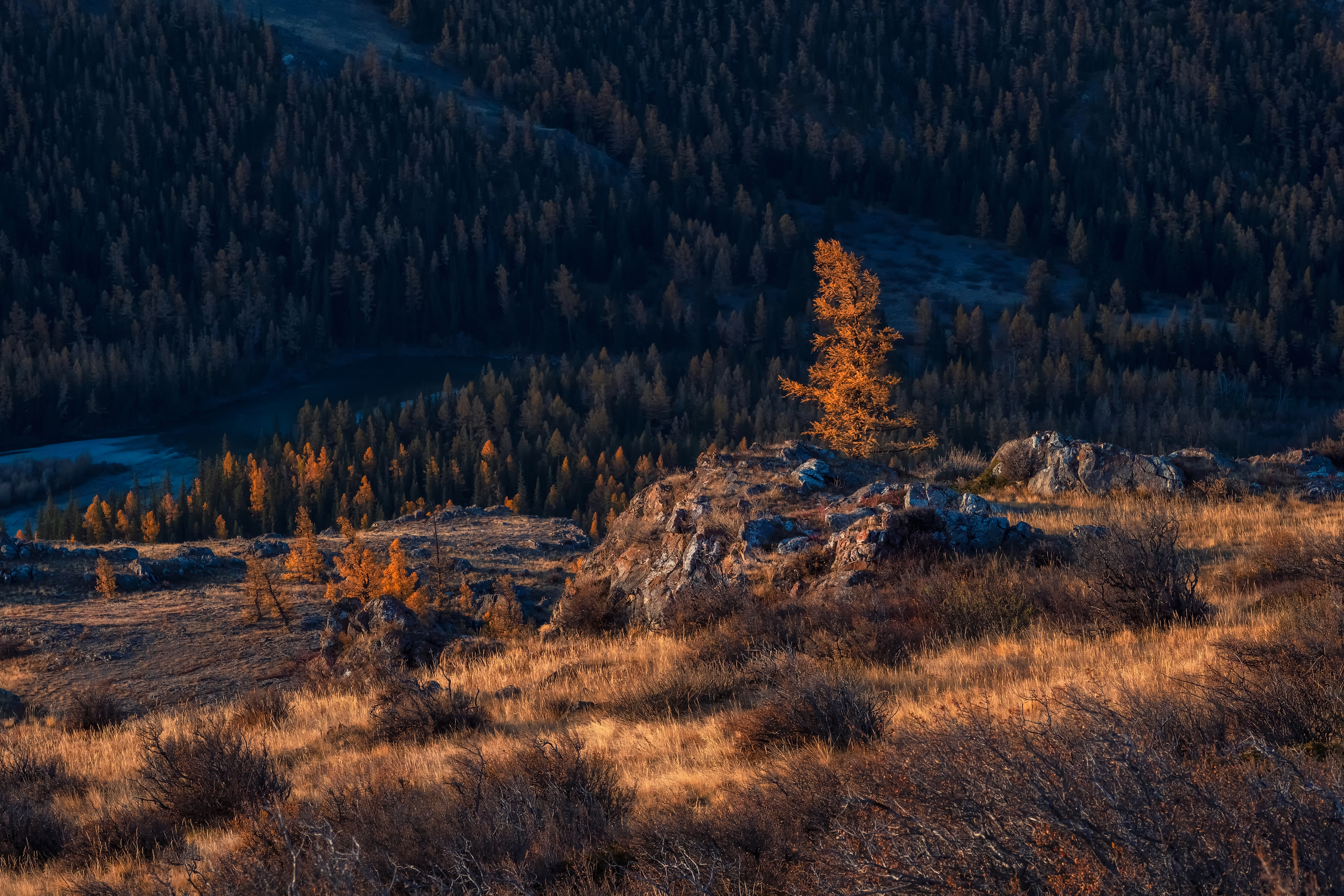 алтай свет минимализм контраст горы осень, Саблин Станислав