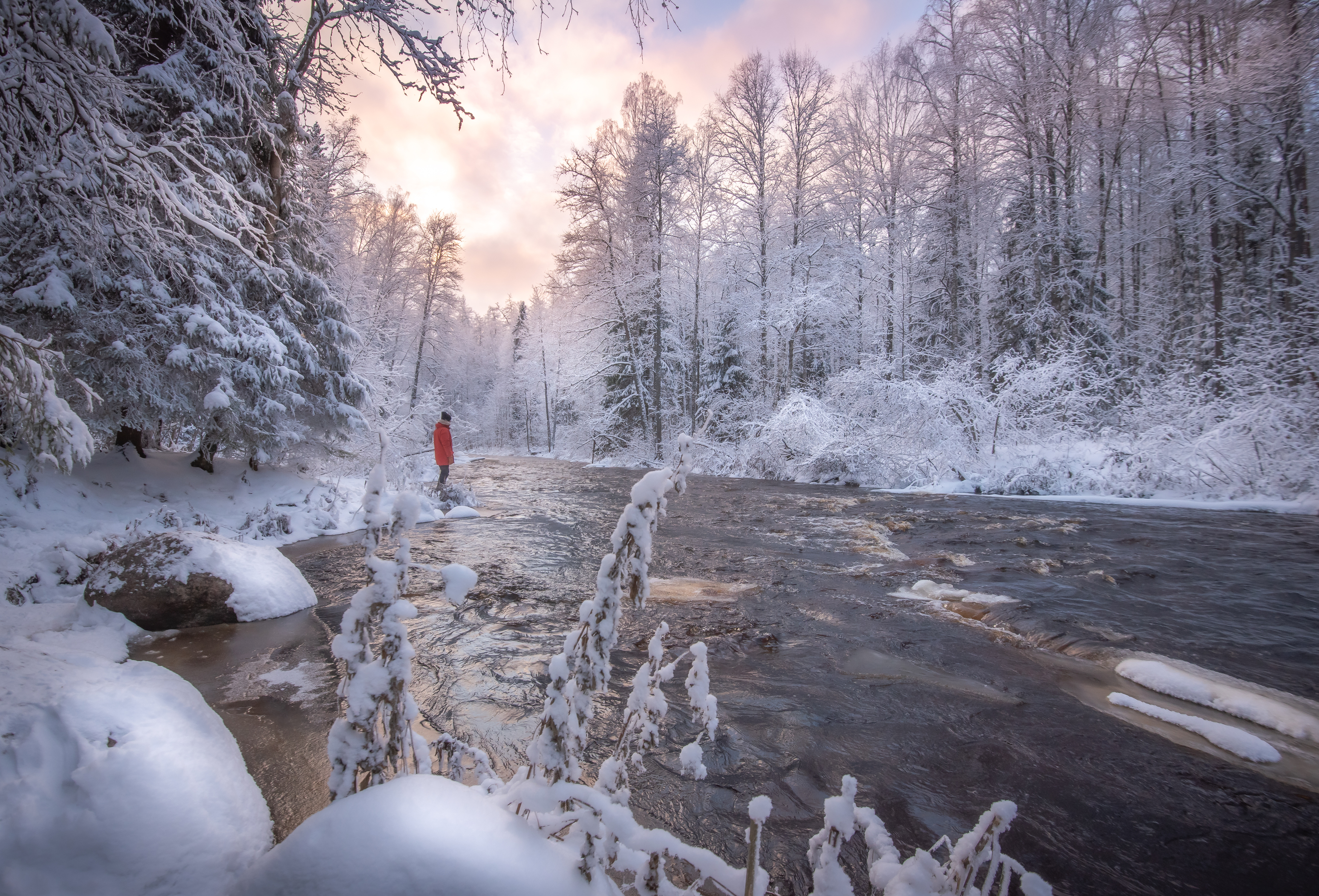 зима, лес, снег, роща, зимний пейзаж, зимний закат, река, Khlebnikova Ekaterina