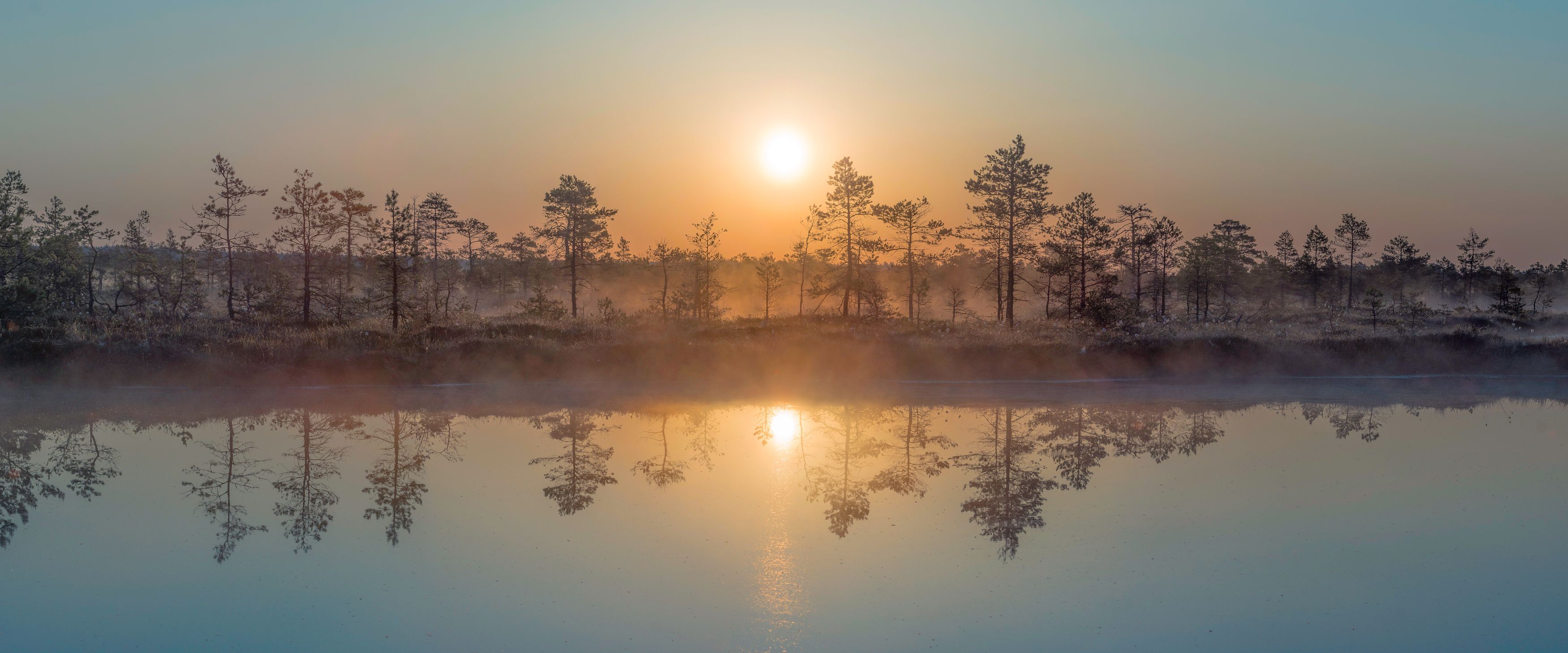 #estonia, #estoniabogs, #nature_of_estonia, #naturephotography, #naturelovers, #sunrise_sunset_photogroup, #sunriseoftheday, #foggymorning, #foggy, #goldenlight, #goldensunrise, #bog, #bogsofestonia, #kõnnusuursoo, #hikingtrails, #goldenhour, #goldengram,, Nikolai Mordan