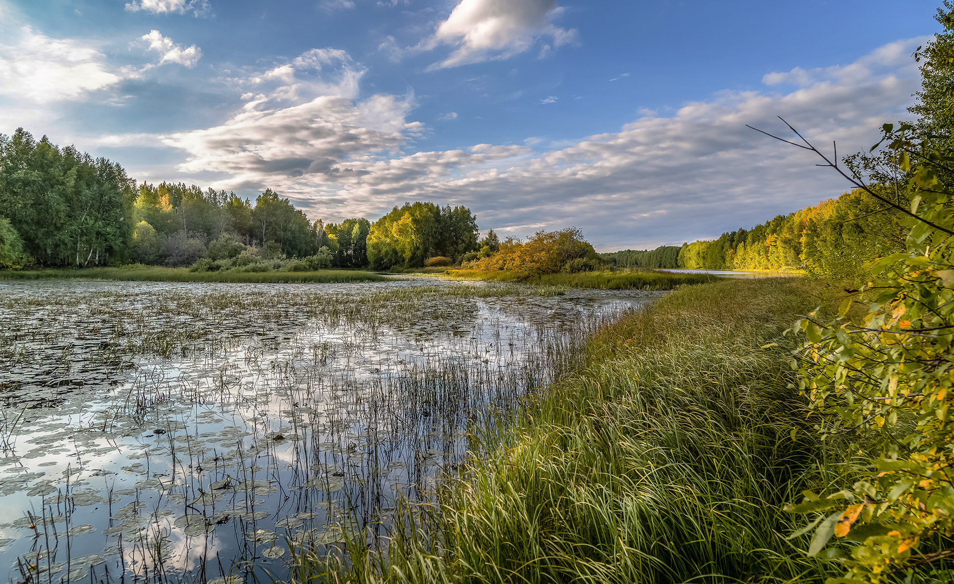 озеро, кустарник, трава, небо, водоросли, Анкудинов Леонид