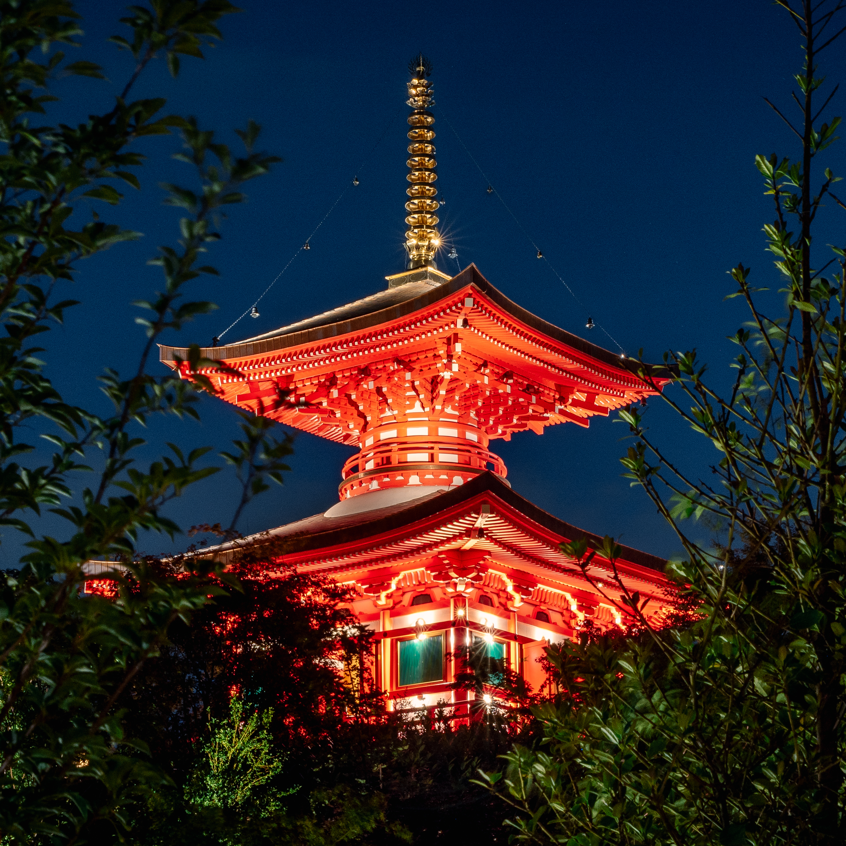 японский сад, краснодар, ночная съемка, Храмов Роман