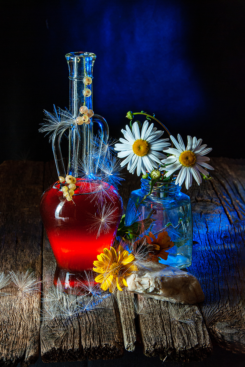 ромашки, цветы, бутылки, Баг Алексей
