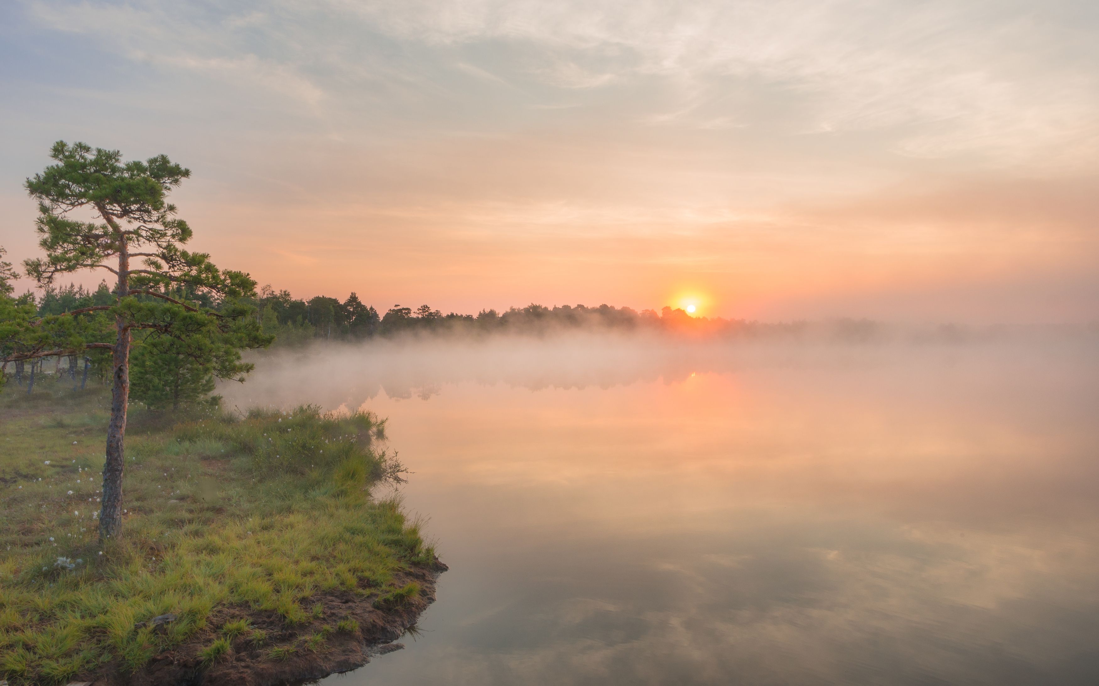 #estonia, #estoniabogs, #nature_of_estonia, #naturephotography, #naturelovers, #sunrise_sunset_photogroup, #sunriseoftheday, #foggymorning, #foggy, #goldenlight, #goldensunrise, #bog, #bogsofestonia, #kakerdajaraba, #hikingtrails, #goldenhour, #goldengram, Nikolai Mordan