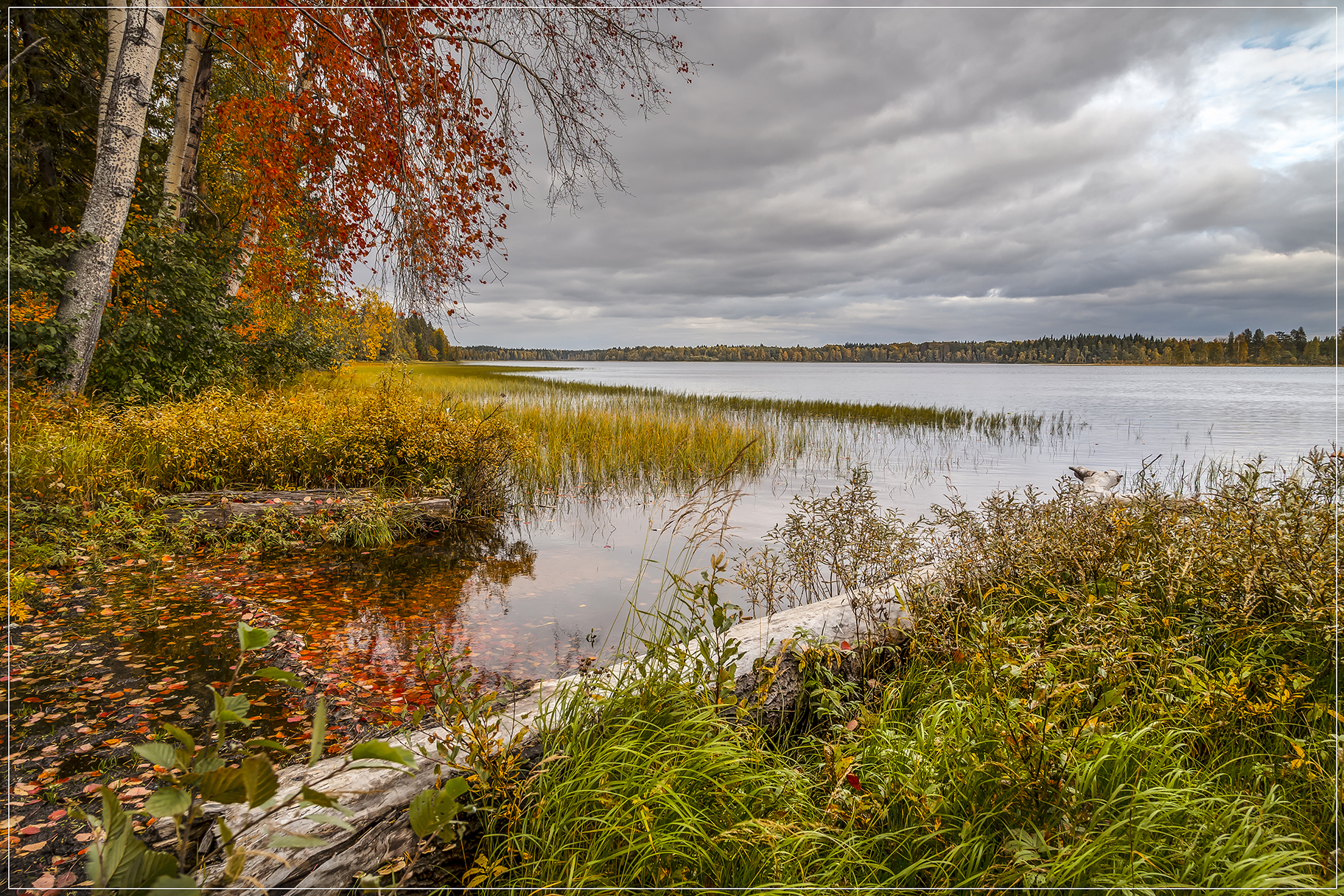 озеро, осень, бревно, листва, даль, вода, Анкудинов Леонид