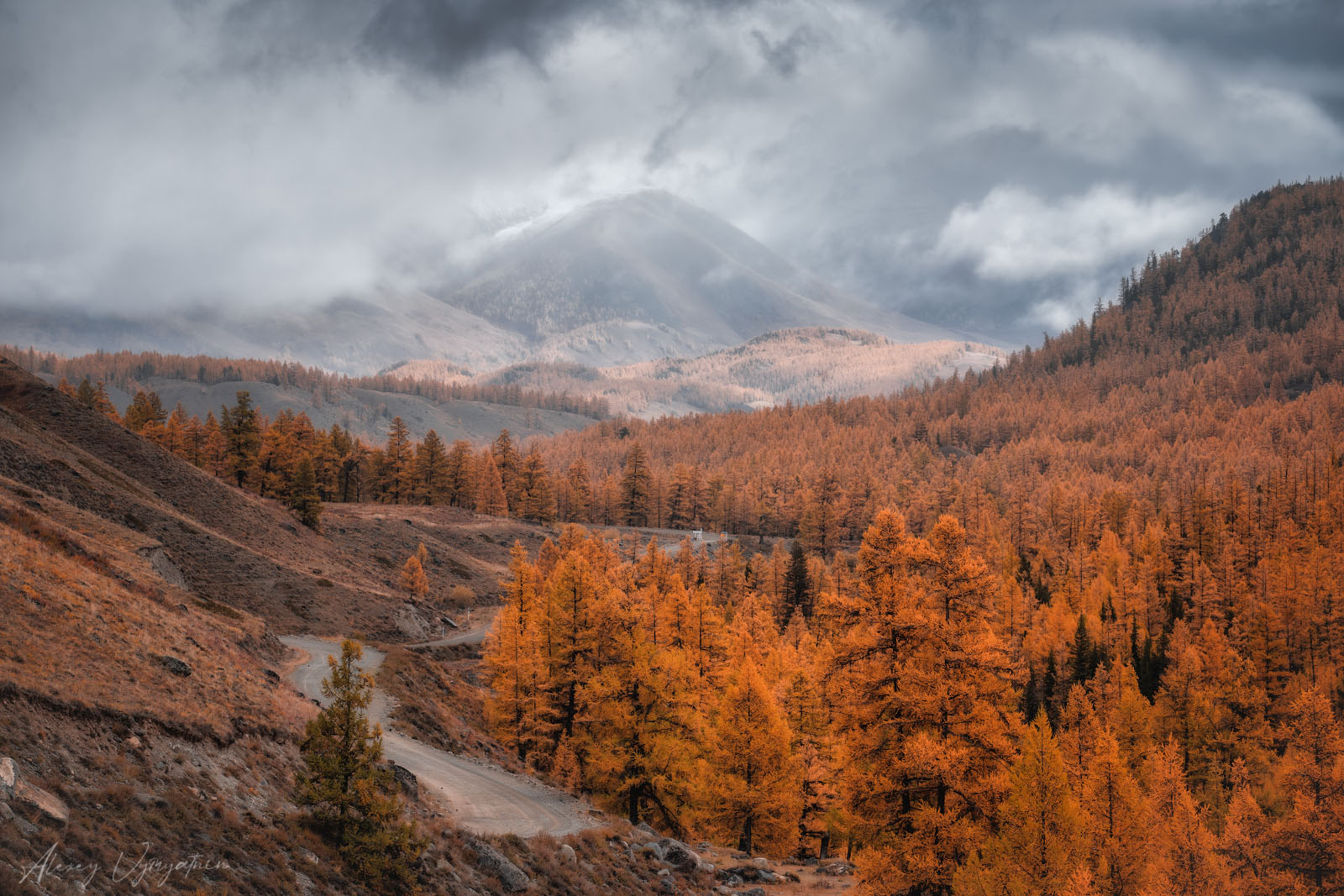 altay, autumn, red, yellow, landscape, mountains, landscape, outdoor, mood, Алексей Вымятнин