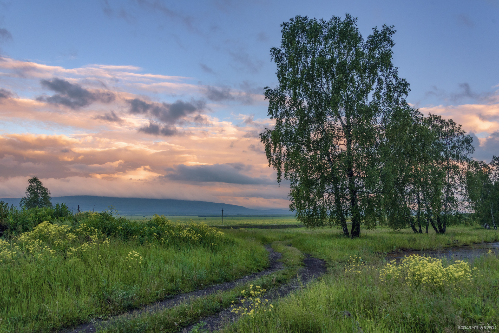 лето, природа, челябинская область, Vasilyev Andrey