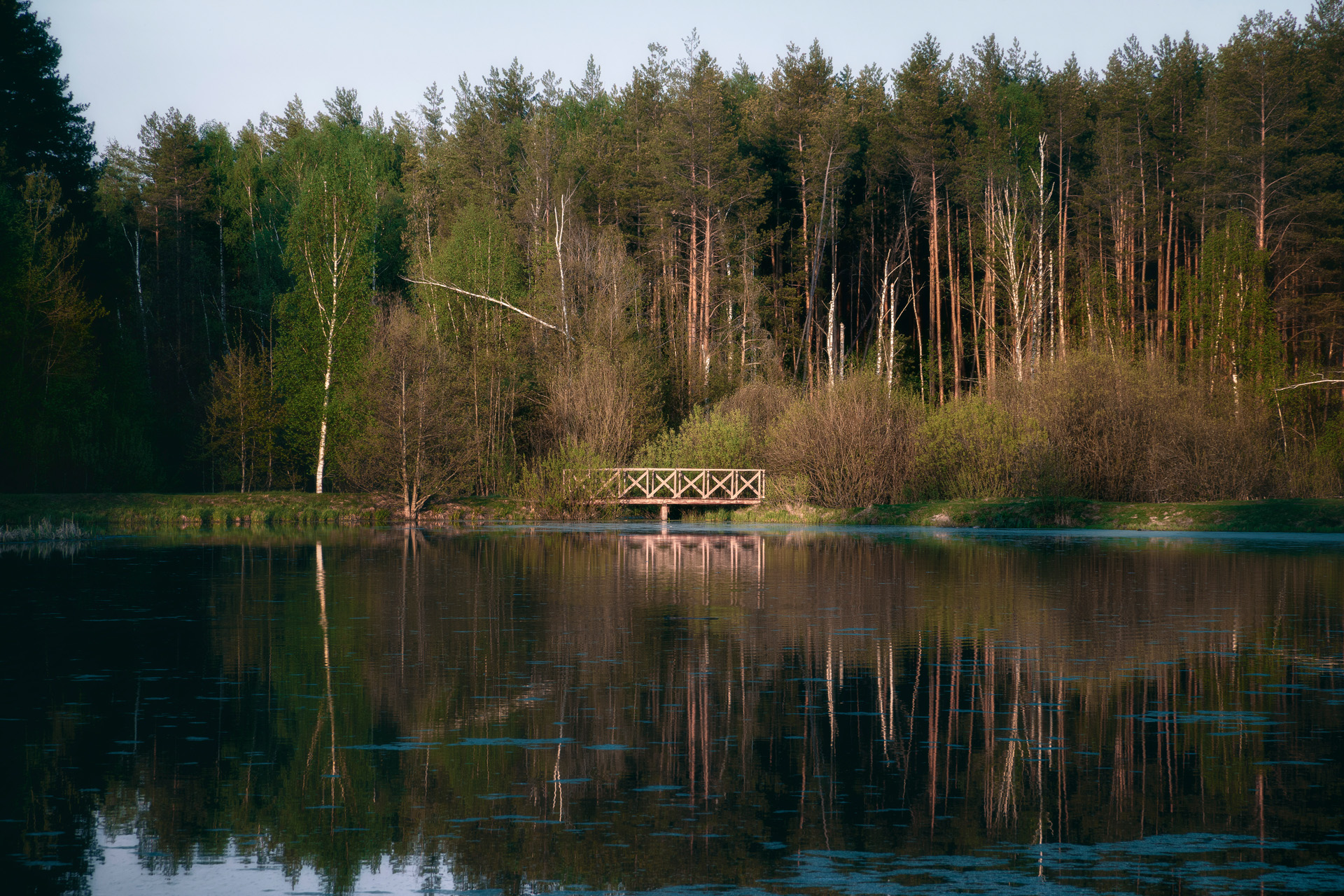 лес, отражения, мостик, Валерий Вождаев