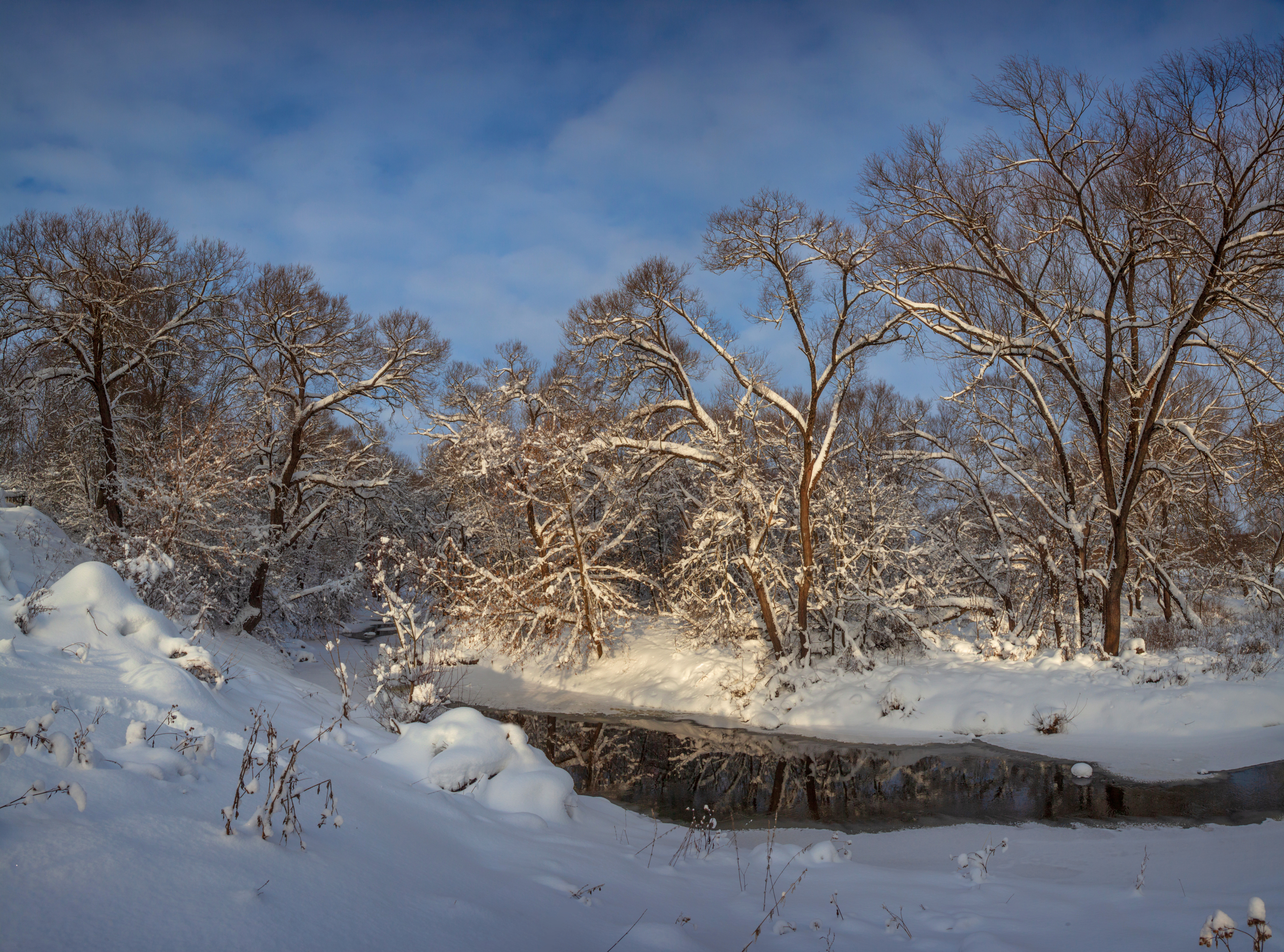 зима, река, лес, Александр Свистков