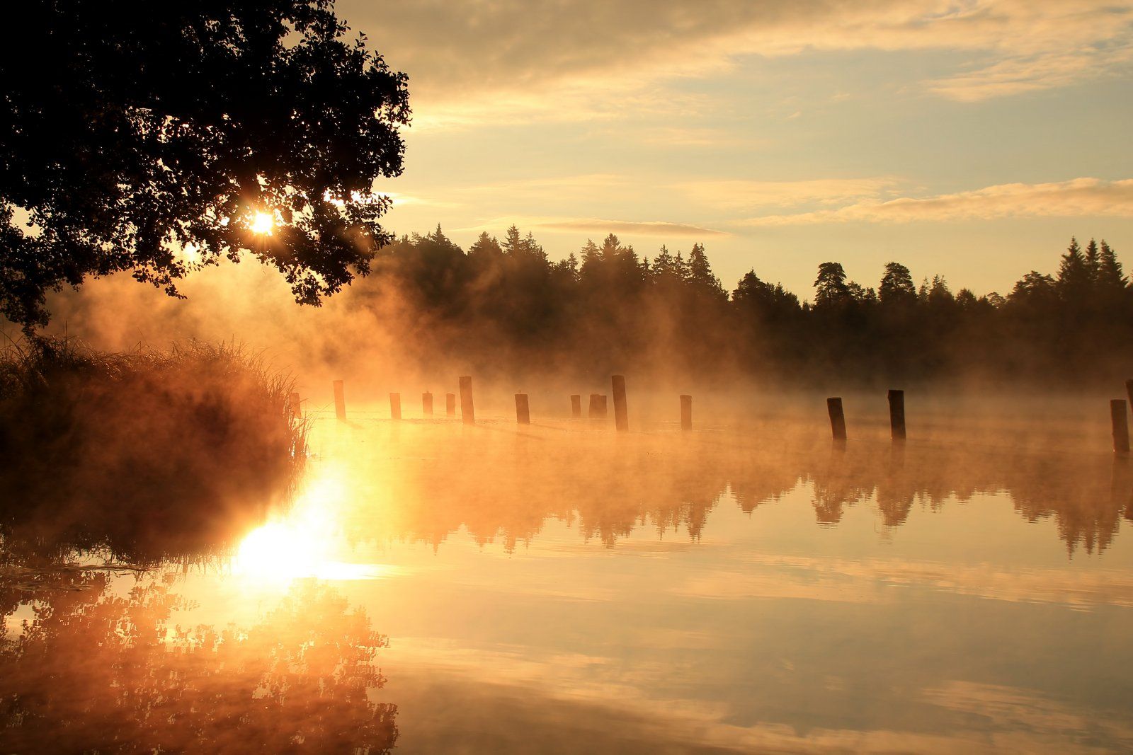 fog, lake, Grzegorz Przyborowski