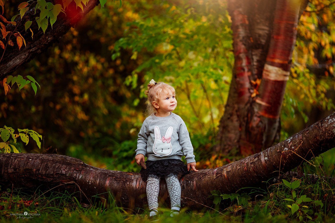 девочка, осень, дерево, лес, Анастасия Кучина