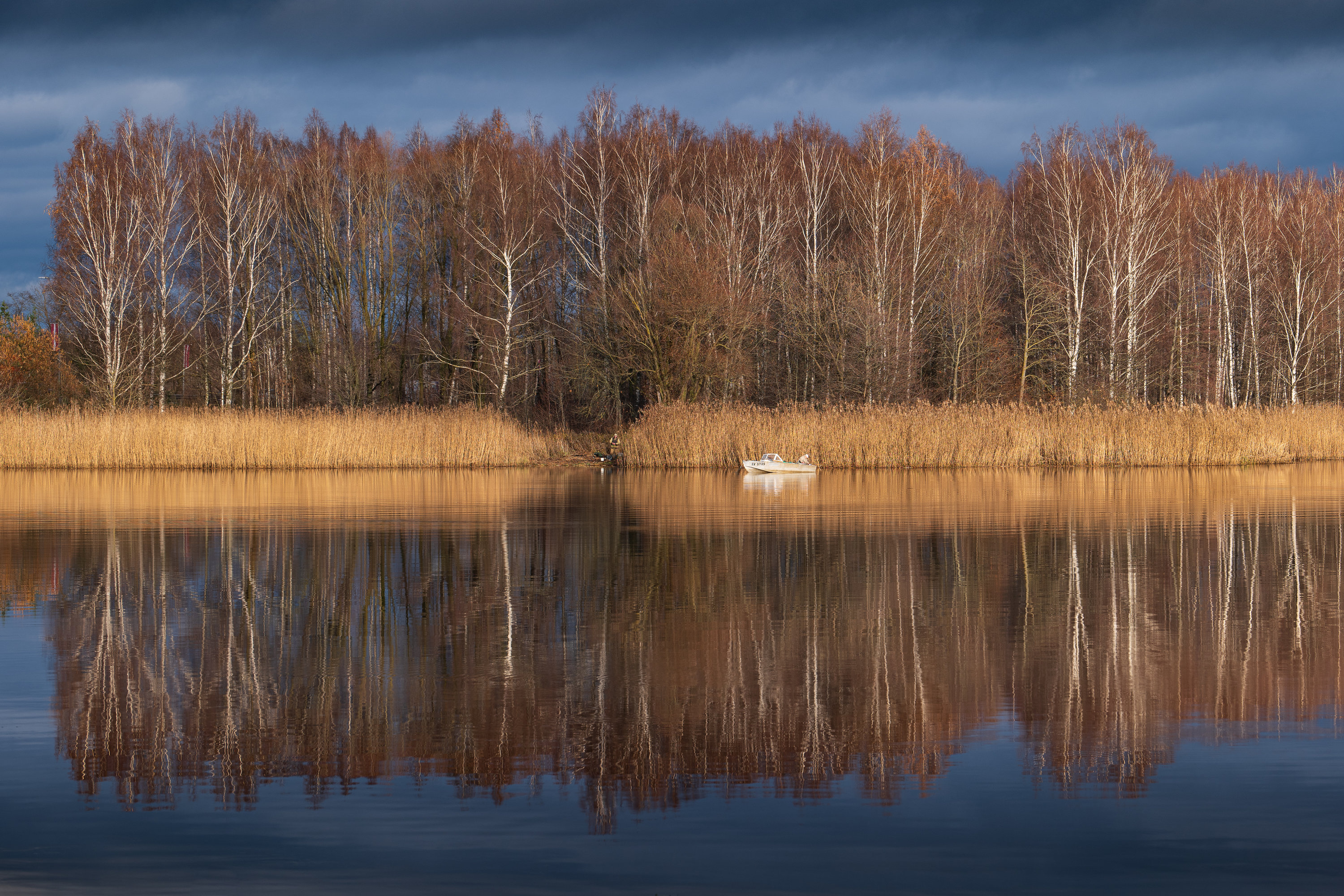 #autumn #trees #lake #reflections, Nikolay Gordon