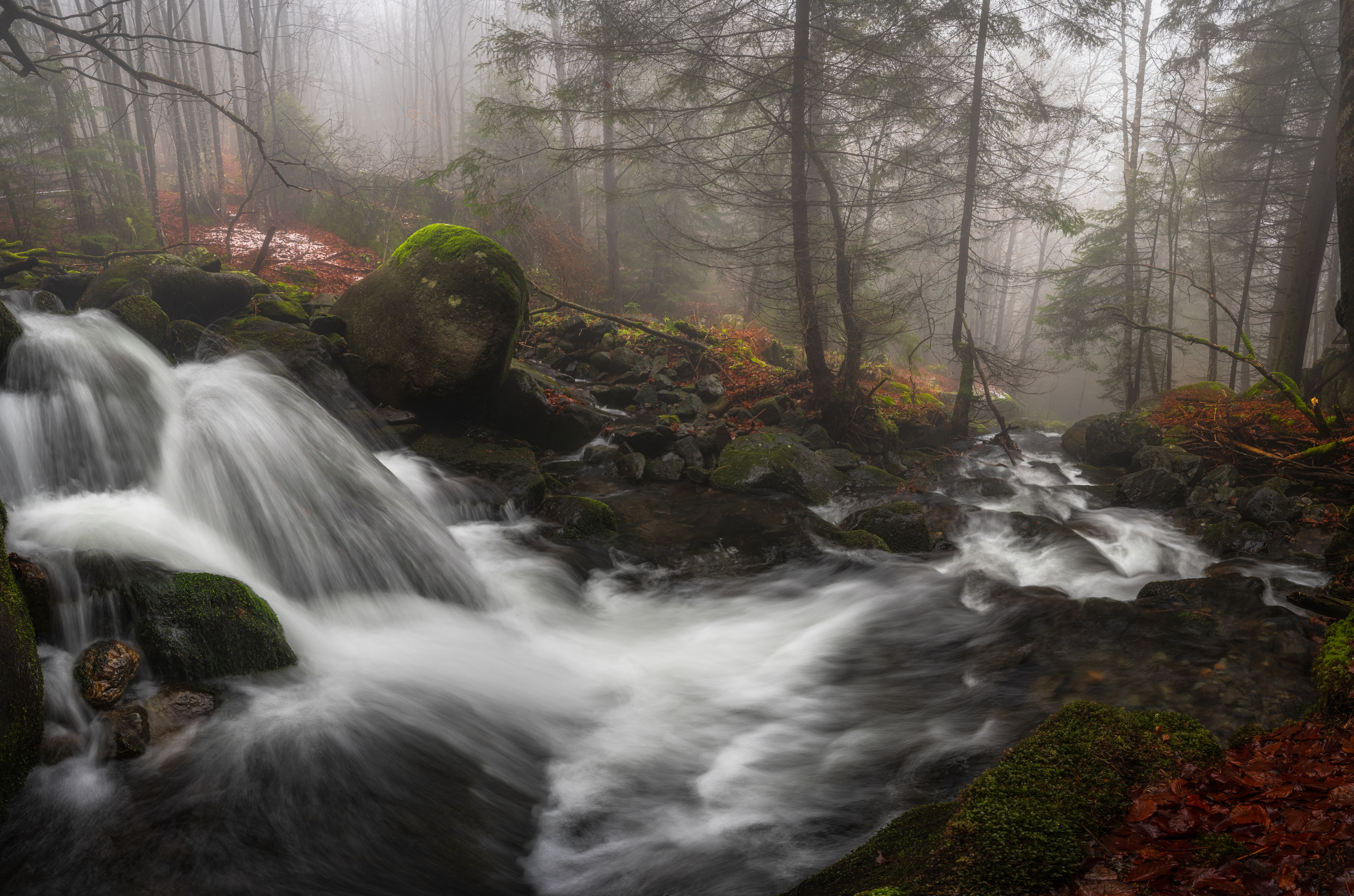 fog forest woodland waterfall , Boyko Valchev