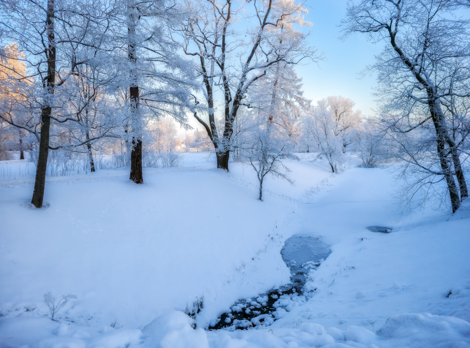 зима декабрь пушкин царское село пруд лед снег дымка туман деревья иней солнце, Константин Скороходов