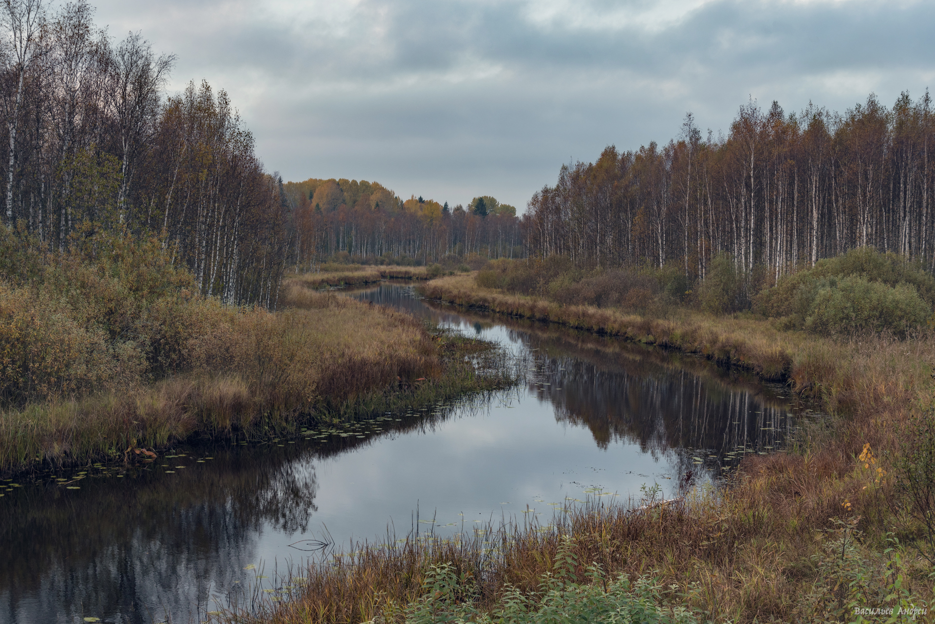 осень, река глушица, тверская область, природа, Vasilyev Andrey