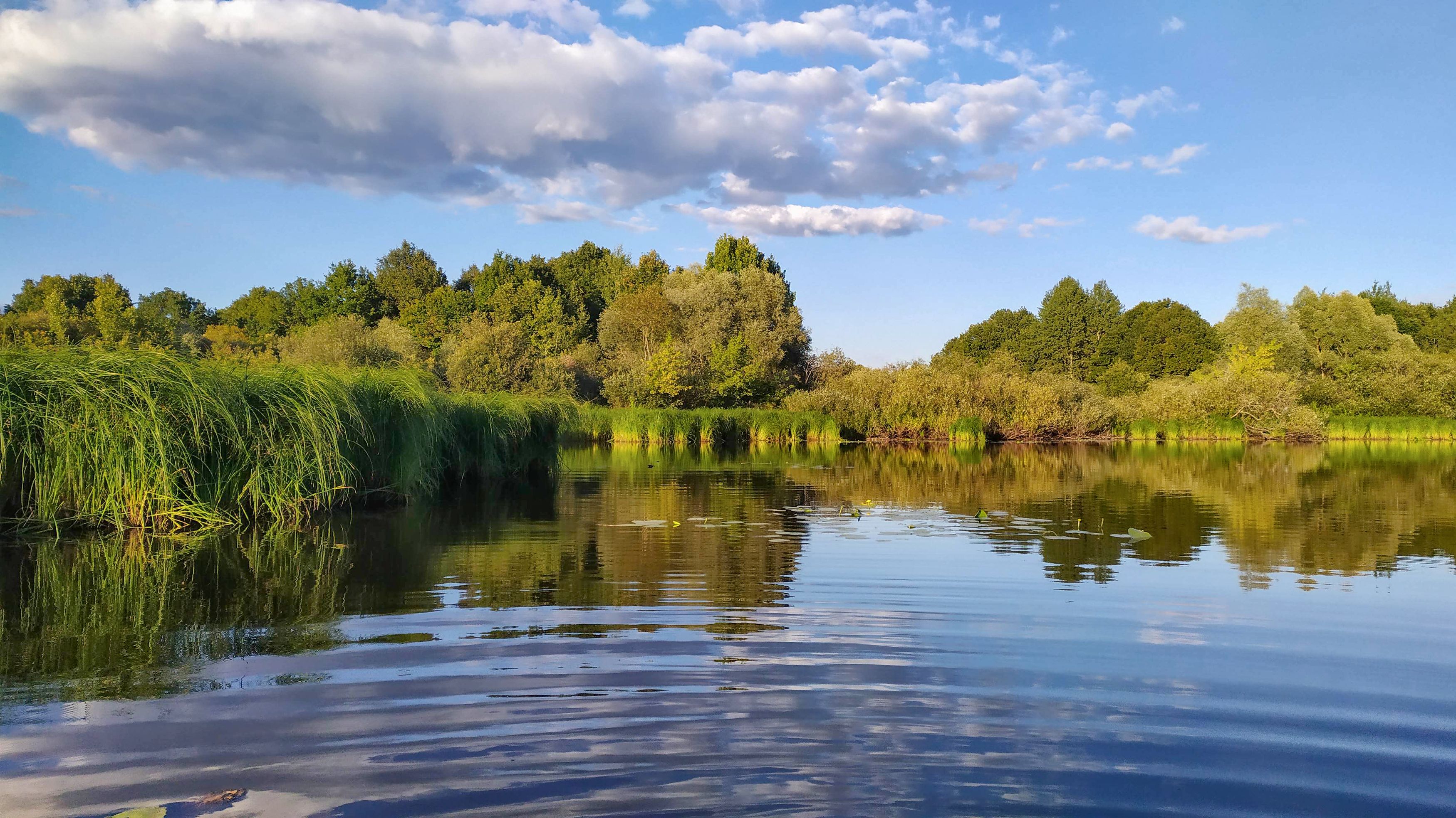 пейзаж, красота, природа, Александр Березуцкий