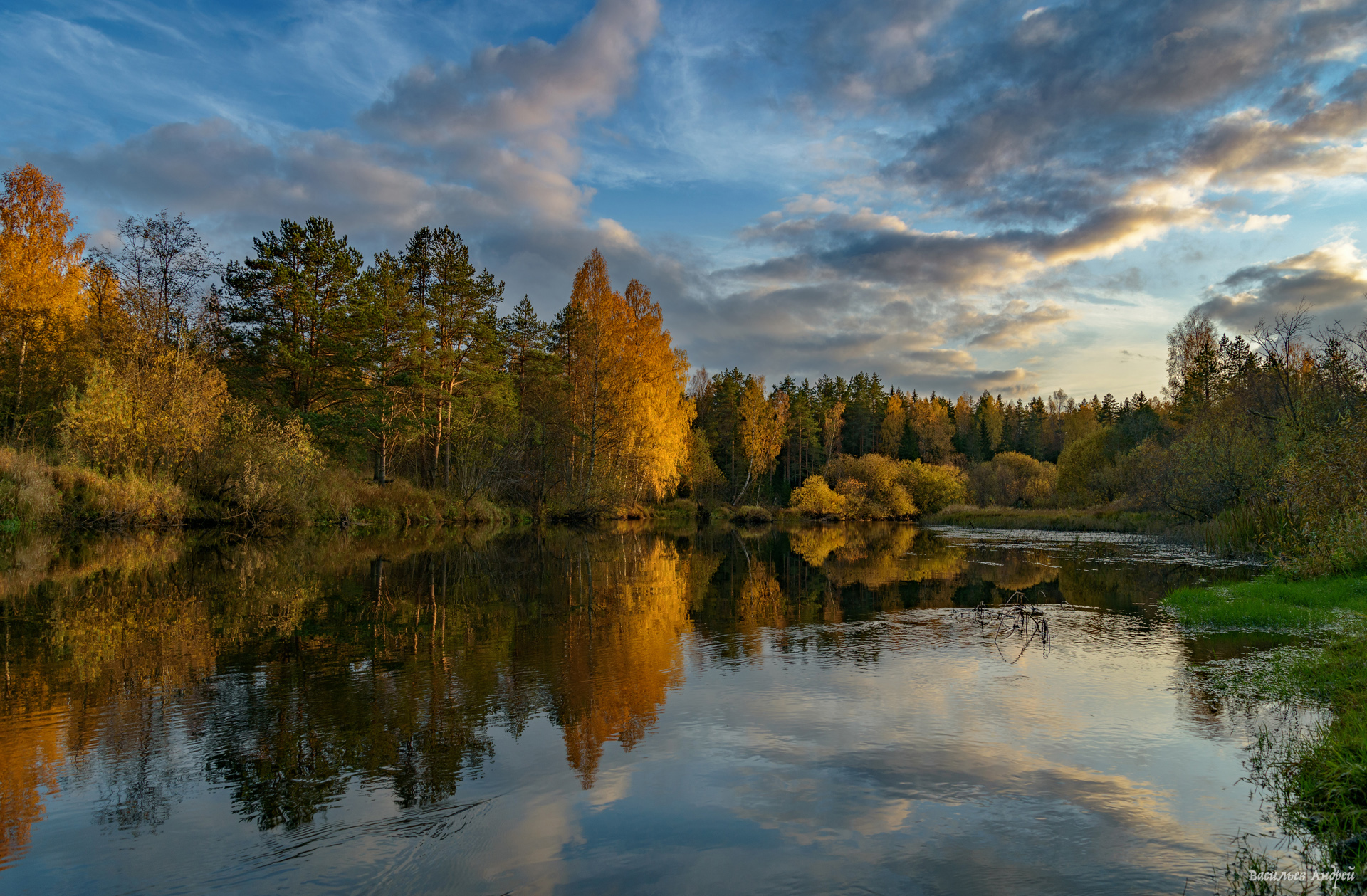 река кобожа, природа, осень, вологодская область, Vasilyev Andrey