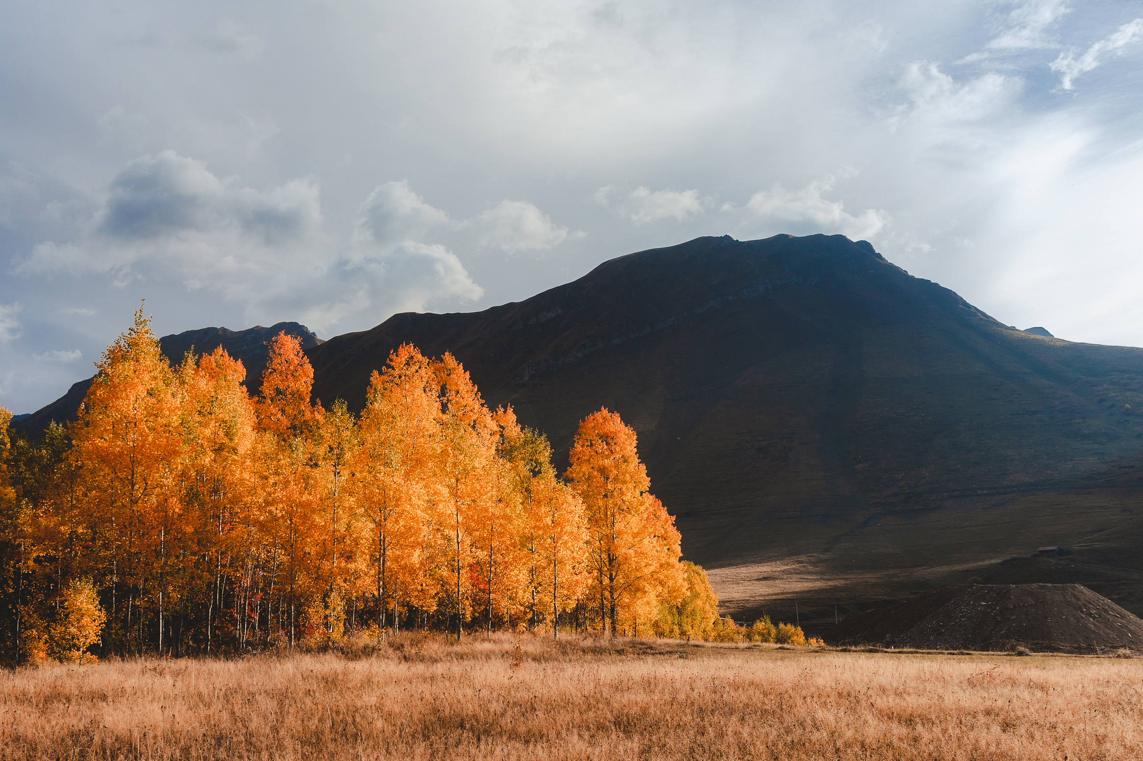 осень, горы, грузия, деревья, золотая осень, небо, пейзаж, Влад Рябинин