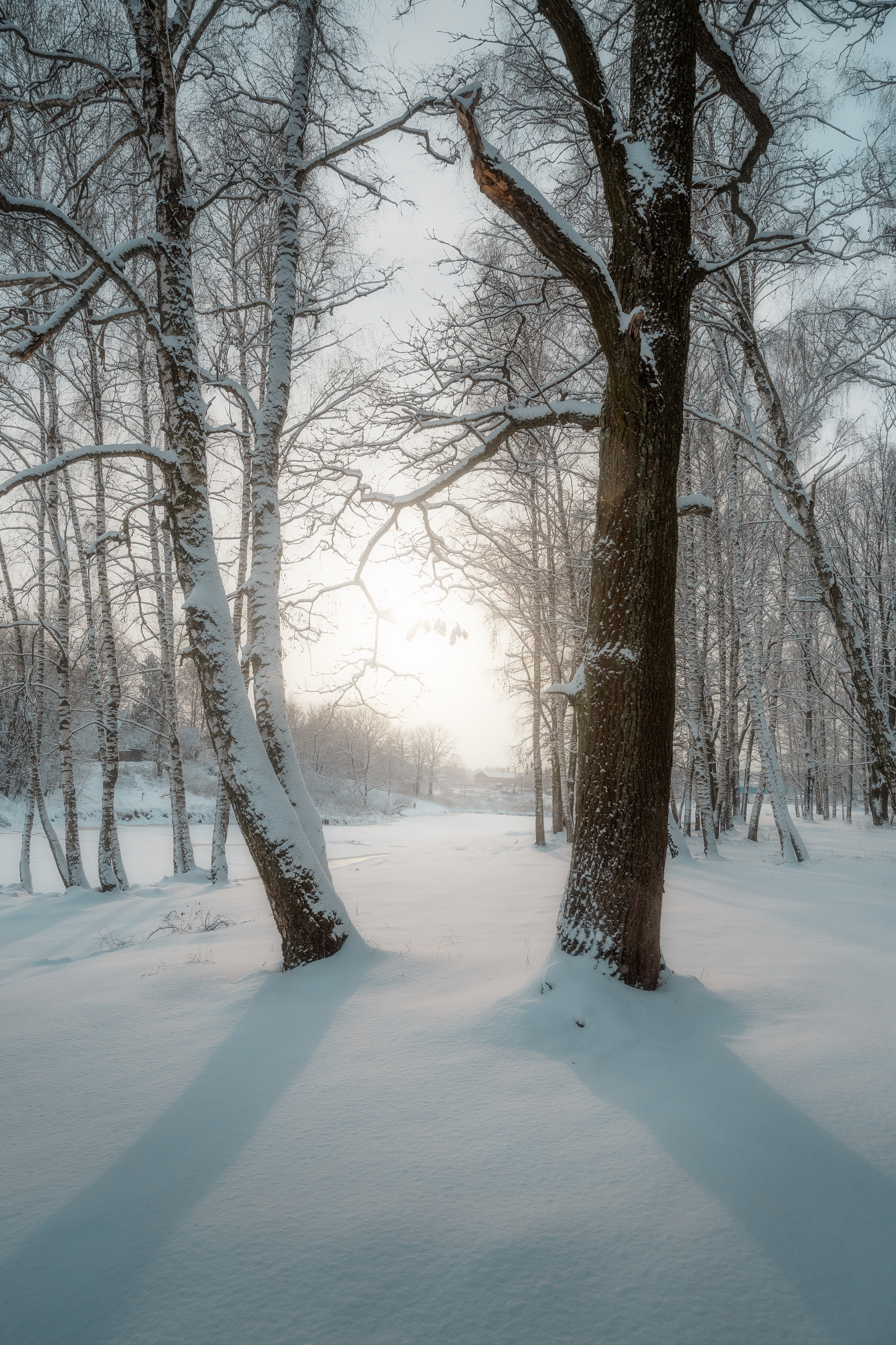 зимний пейзаж, пейзаж, природа, мороз, много снега, природа, Московская область, Мартыненко Дмитрий