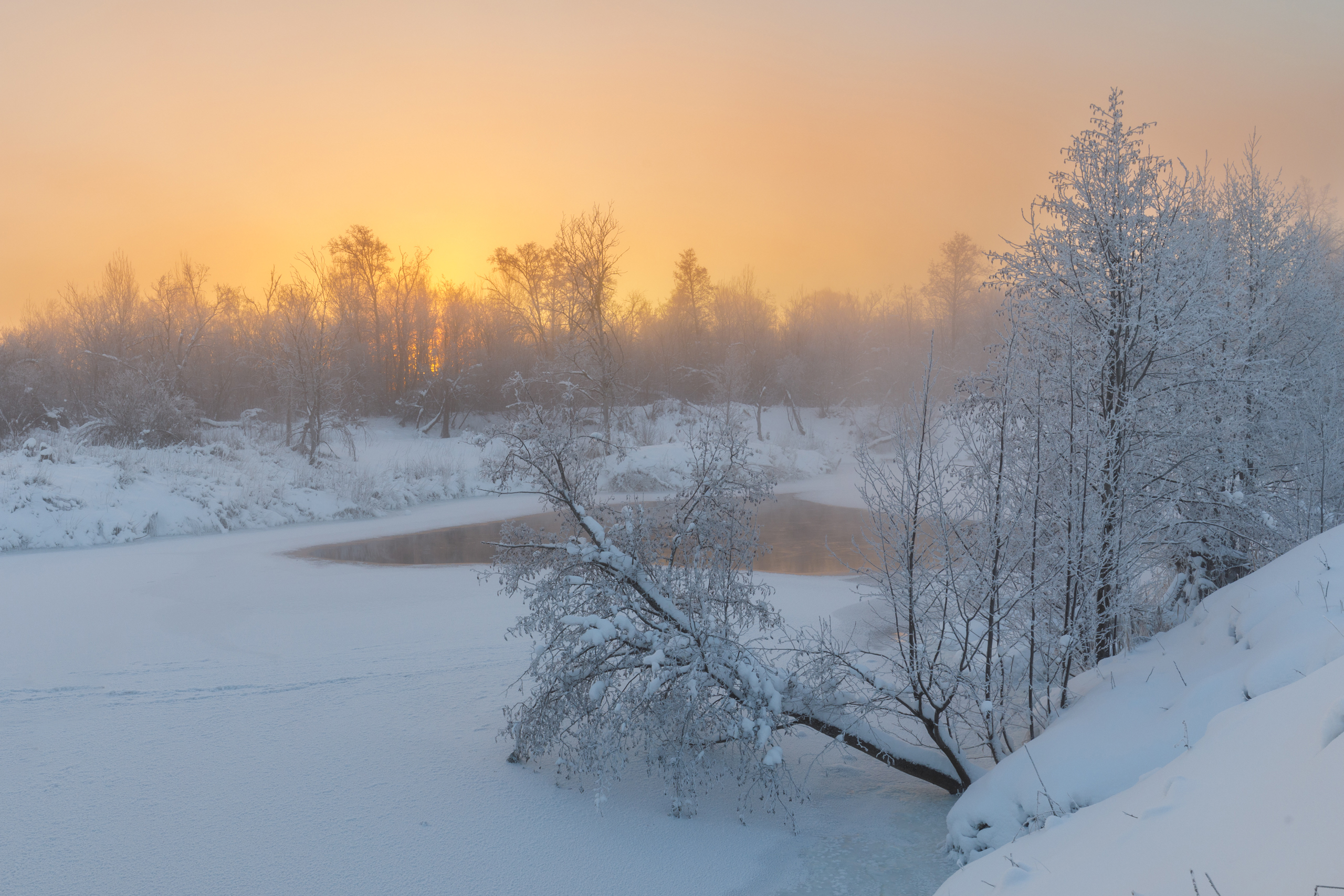 пейзаж рассвет зима снег, Гильманов Артур