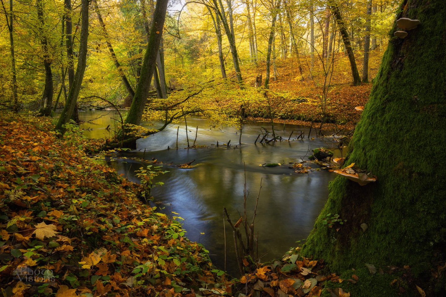 forest,woods,woodland,river,water,long exposure,mood,colors,autumn,autumnal,colorful,, Photo Visions