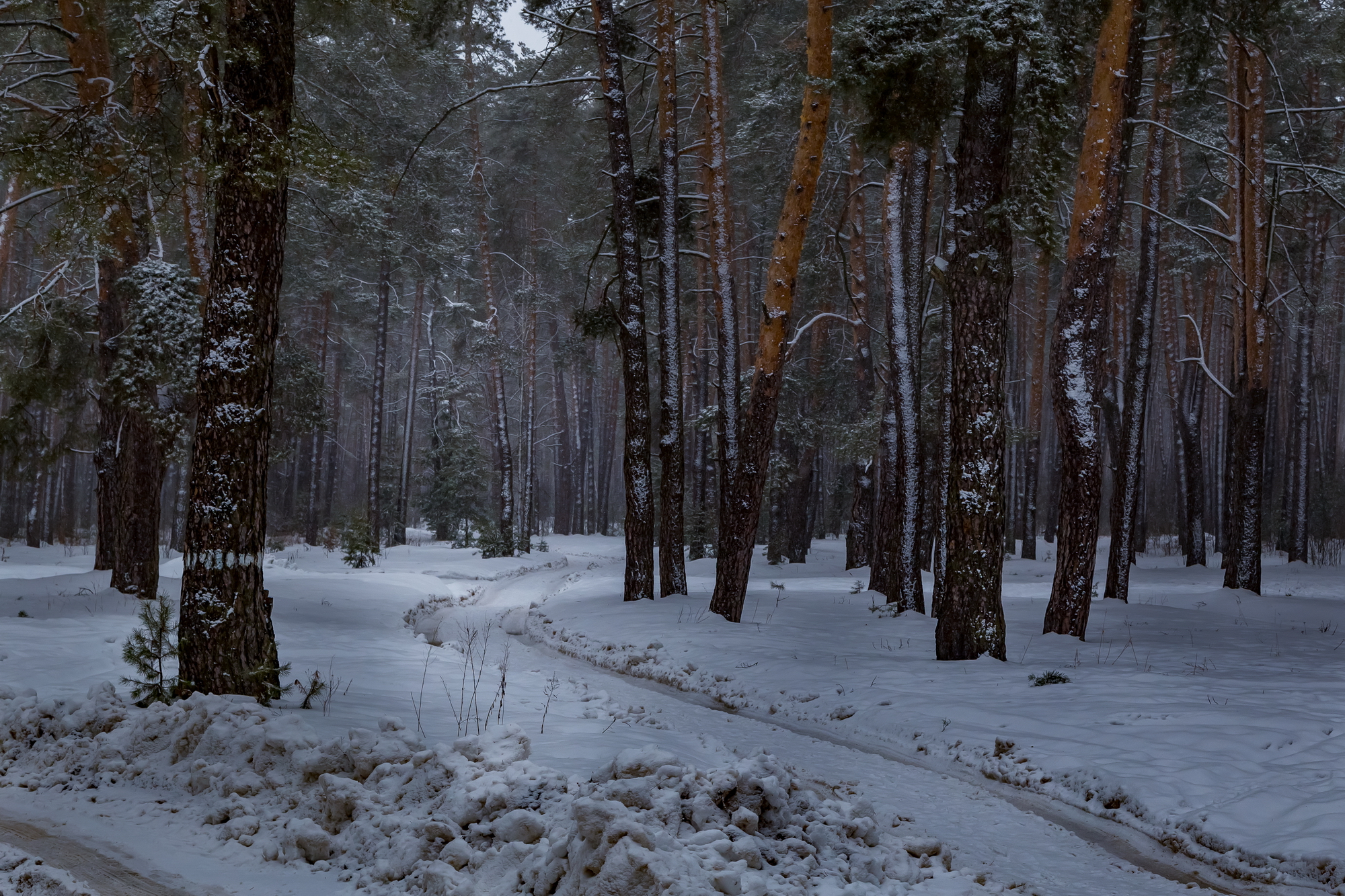 зима, снег, лес, пейзаж, природа, Юрий Морозов