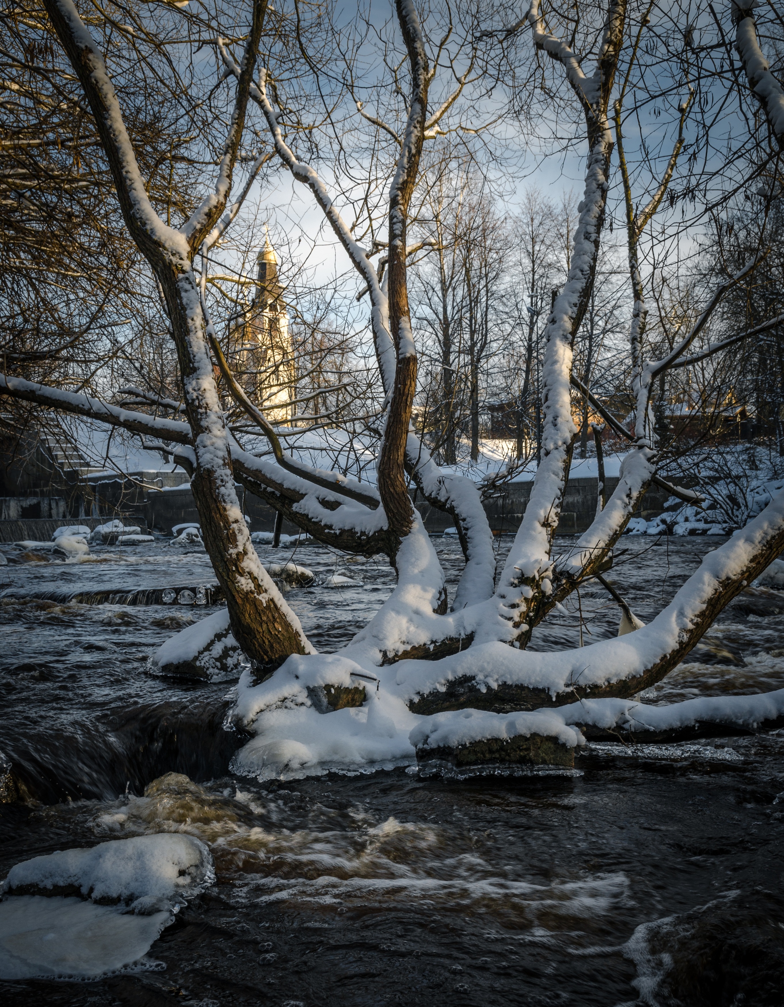 сестрорецк, зима, winter, Alexey S