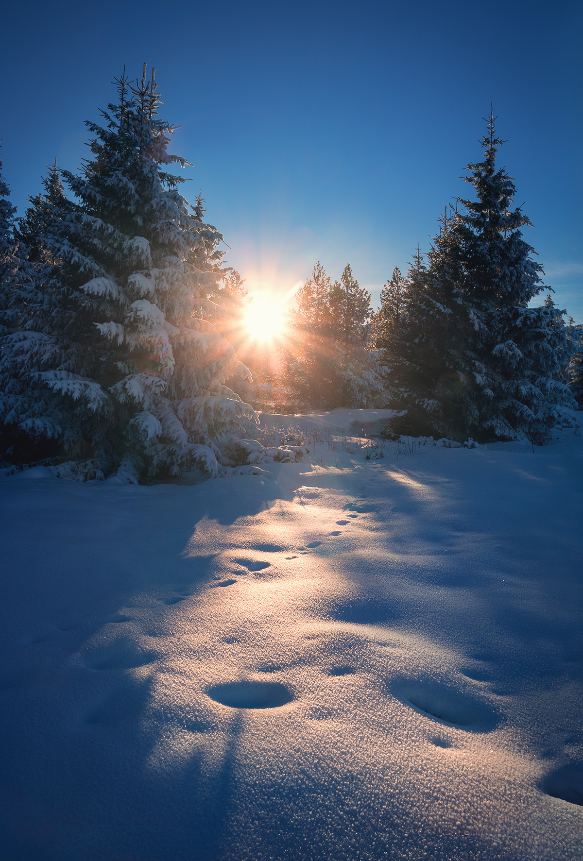winter, sunset, snow, mountain, Vania Tonova