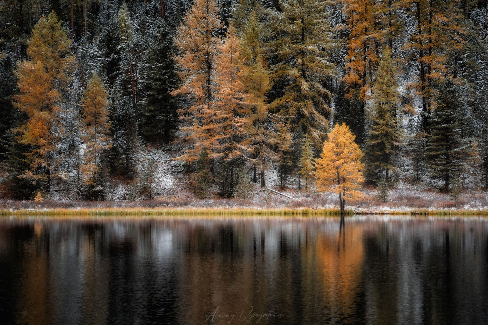 altay, autumn, lake, green, yellow, landscape, water, mirror, Алексей Вымятнин