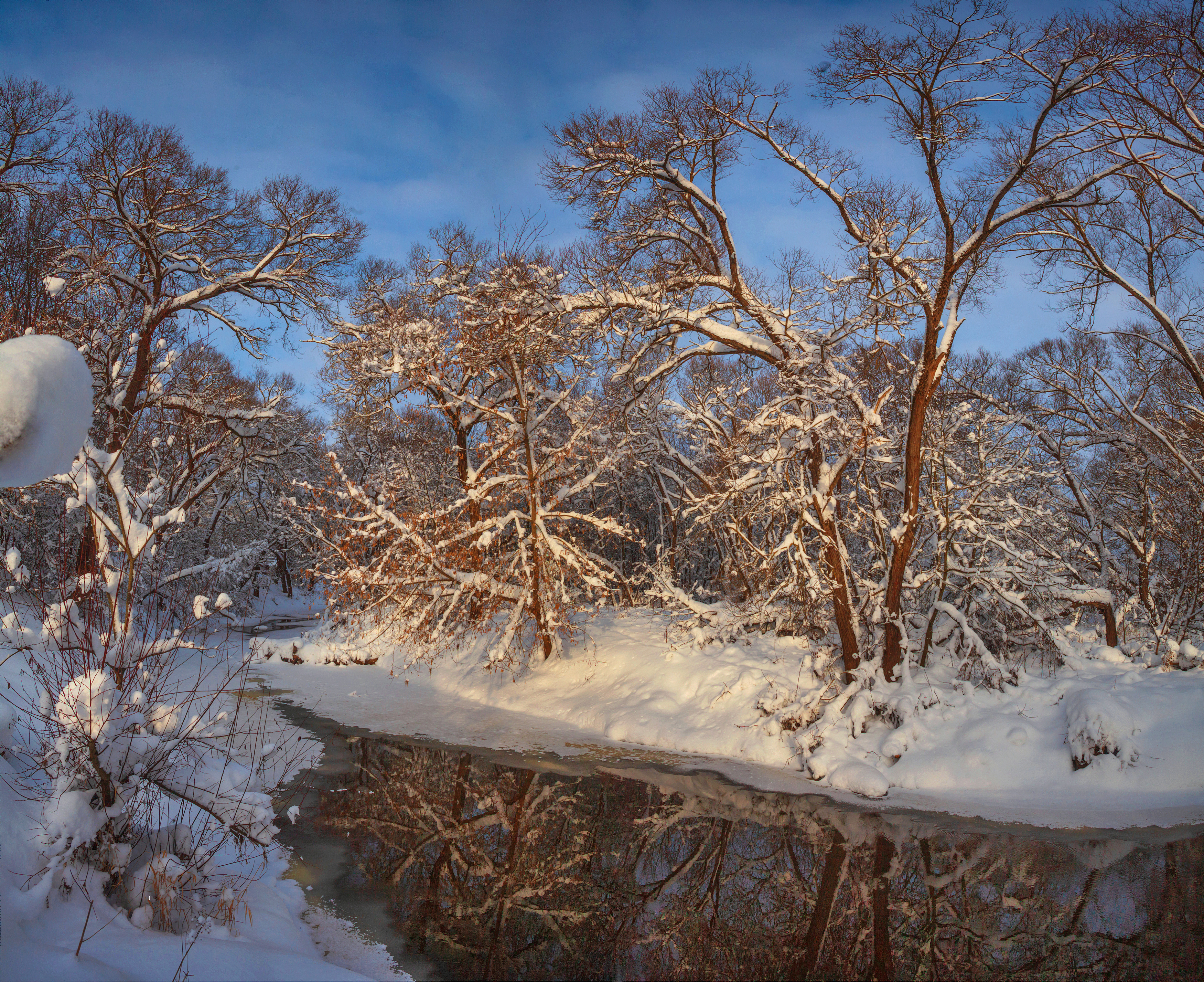 зима, река, лес, Александр Свистков