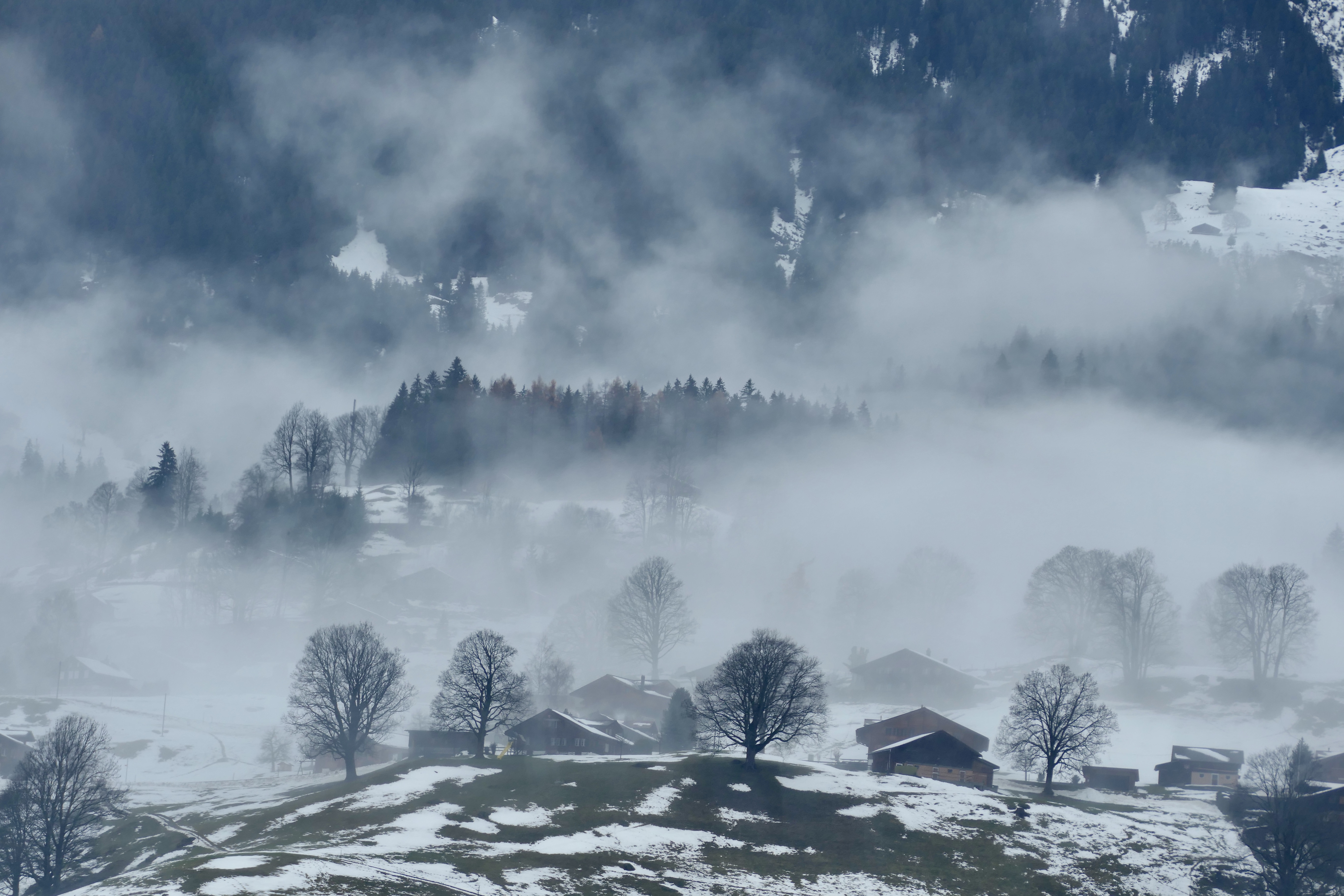 Landscapes, nature, mist, fog, village, Switzerland, trees, houses, mountain, travel,, Svetlana Povarova Ree