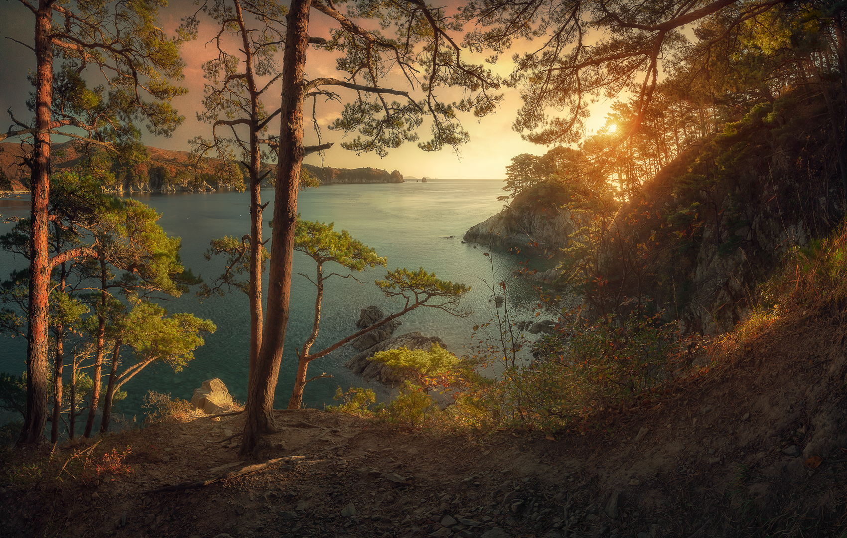 панорама, море, сосны, осень, скалы, Андрей Кровлин